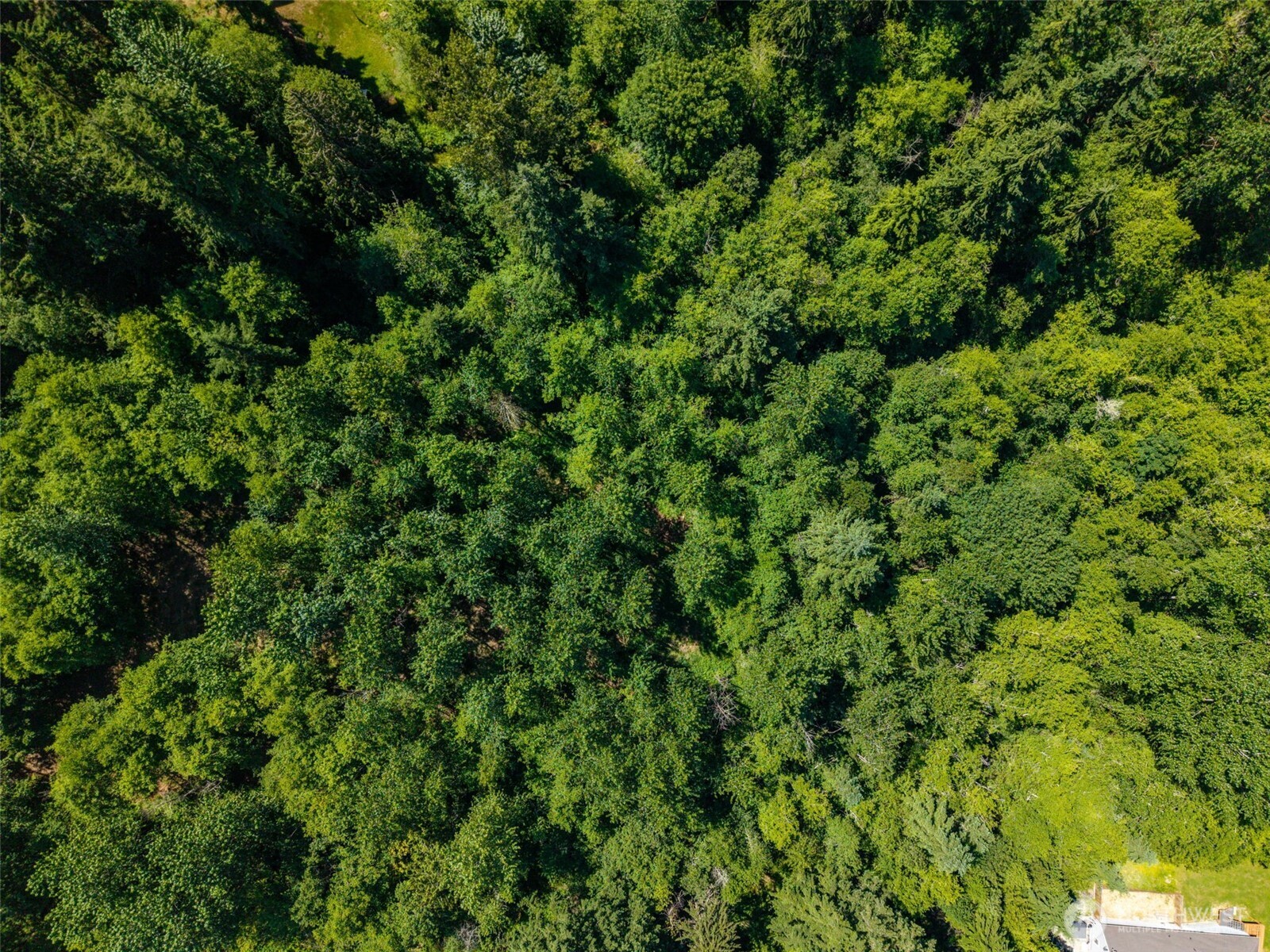 0 236th Avenue NE