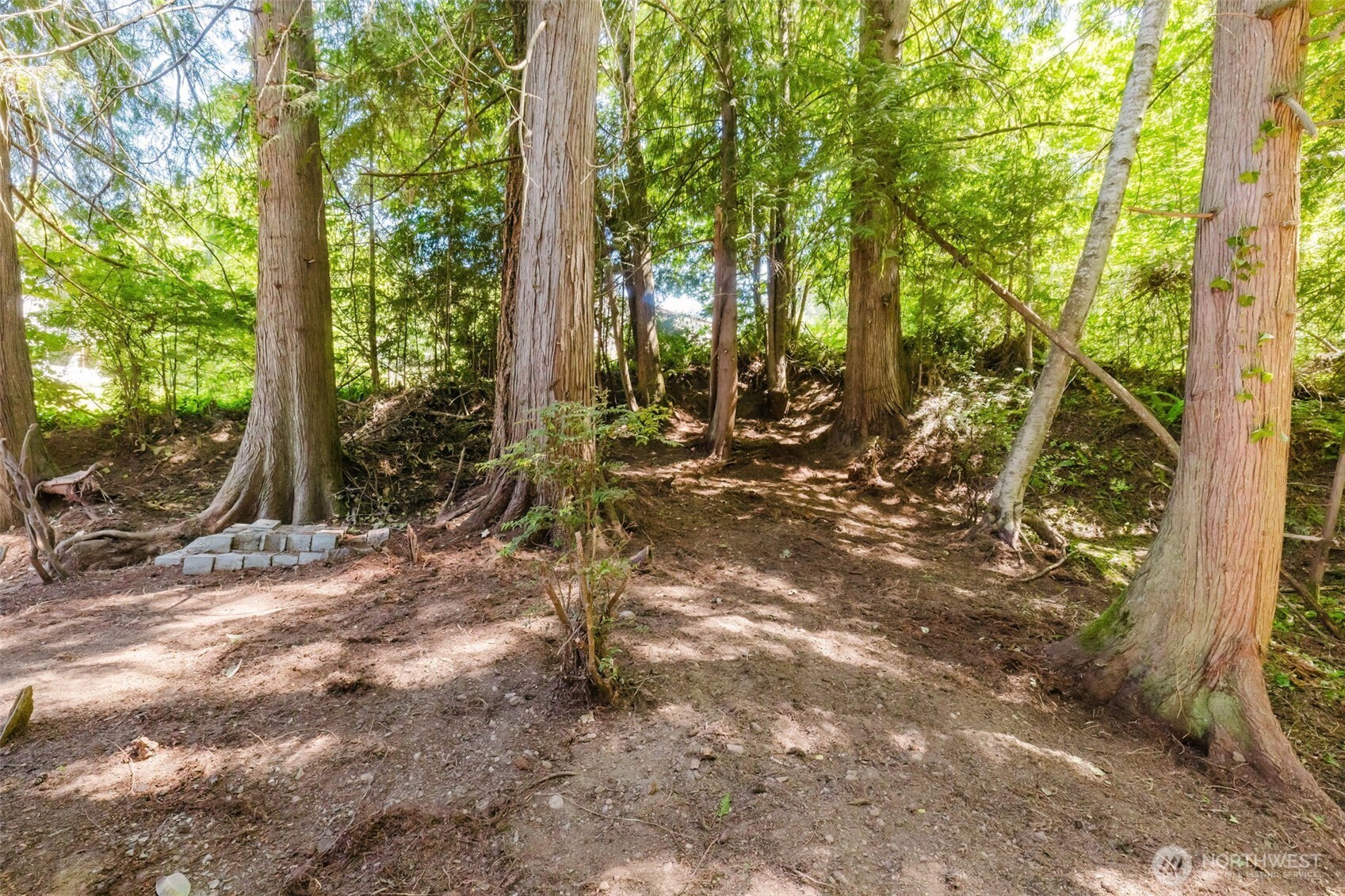 150 E Cedar Street