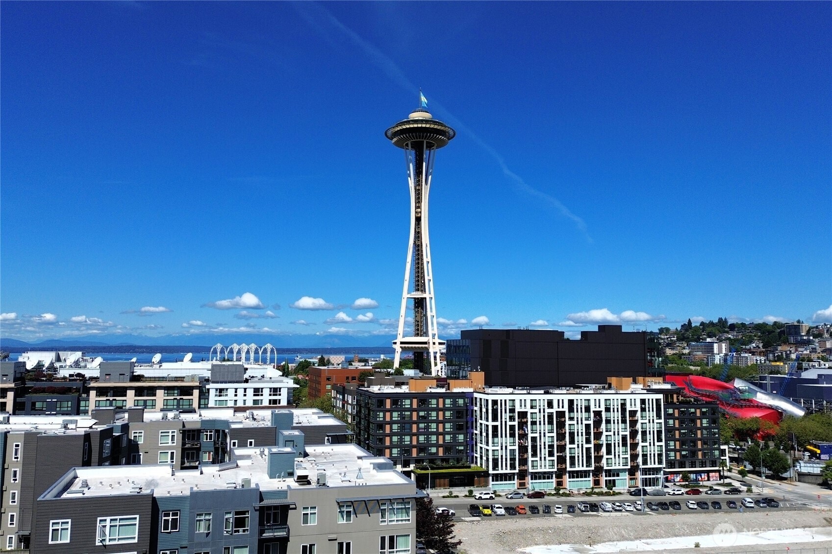 699 John Street Unit: 308
