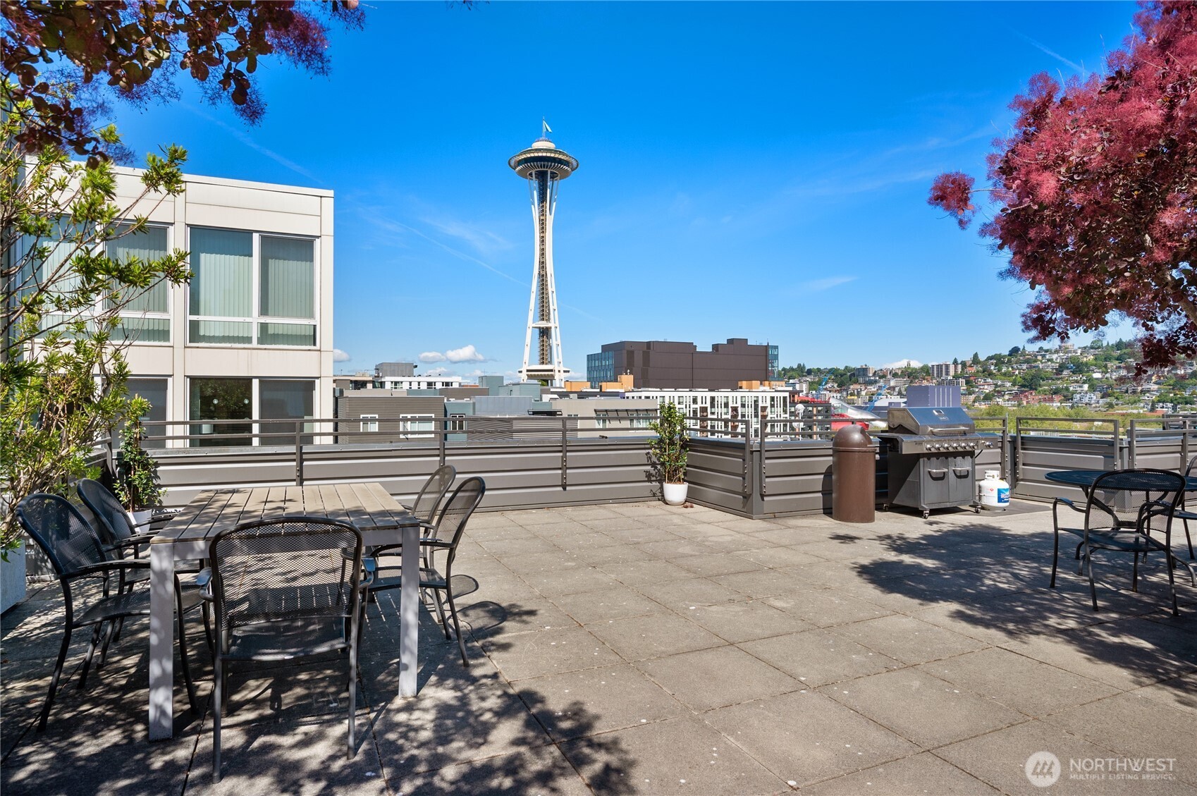 699 John Street Unit: 308