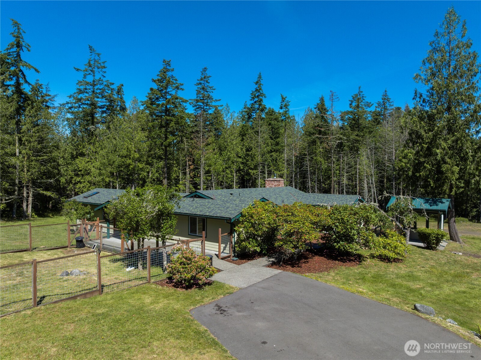 61 Saddle Drive