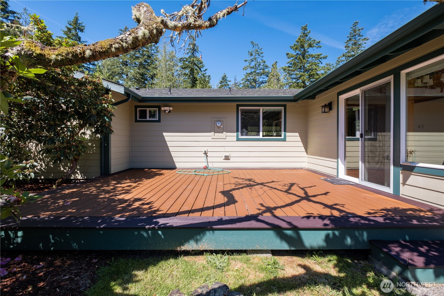 61 Saddle Drive