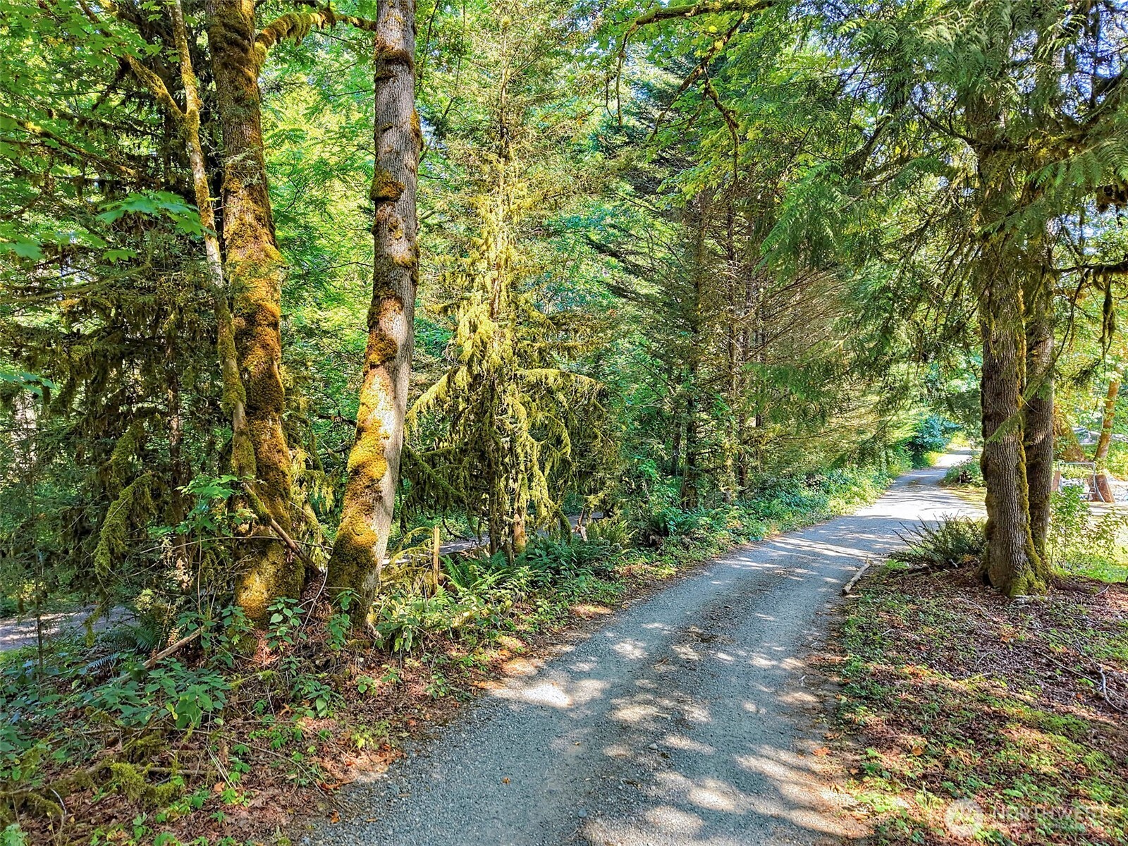 2 LOT B 196th Avenue SE