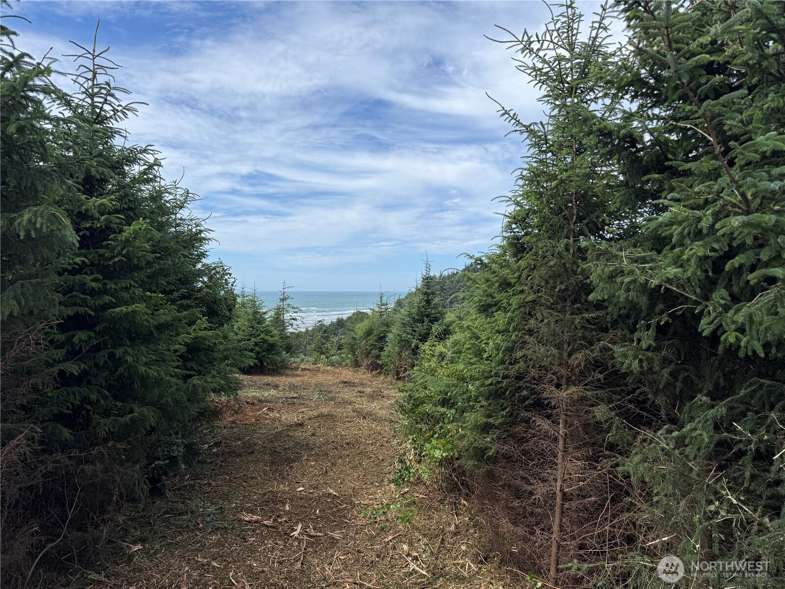 0 XXXO State Route 109