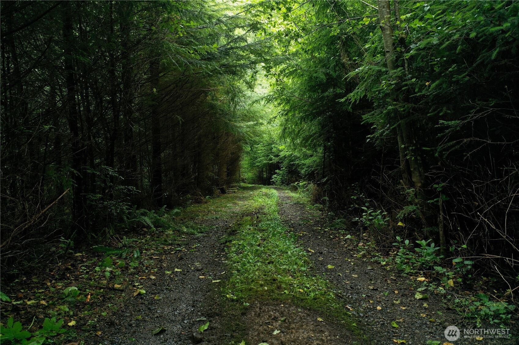 0 XXXO State Route 109