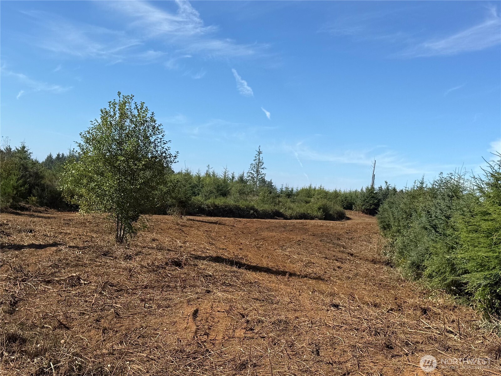 0 XXXO State Route 109