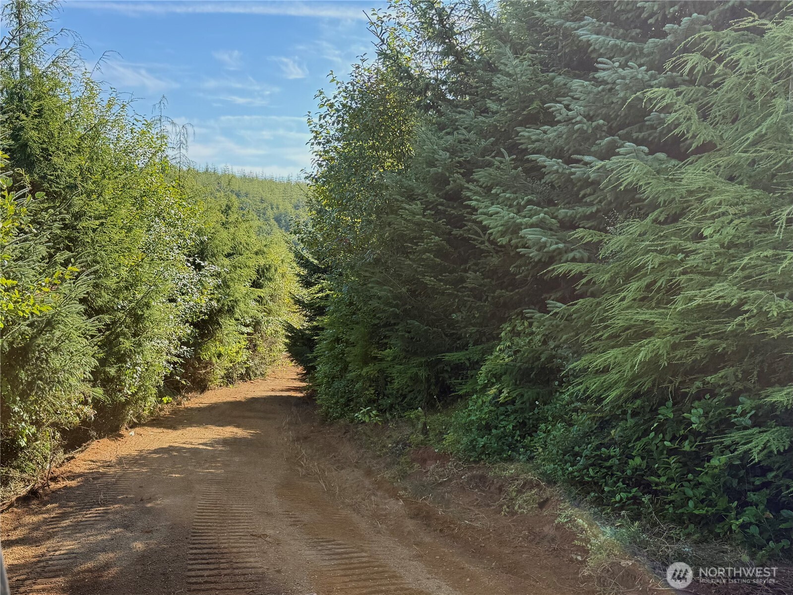 0 XXXO State Route 109