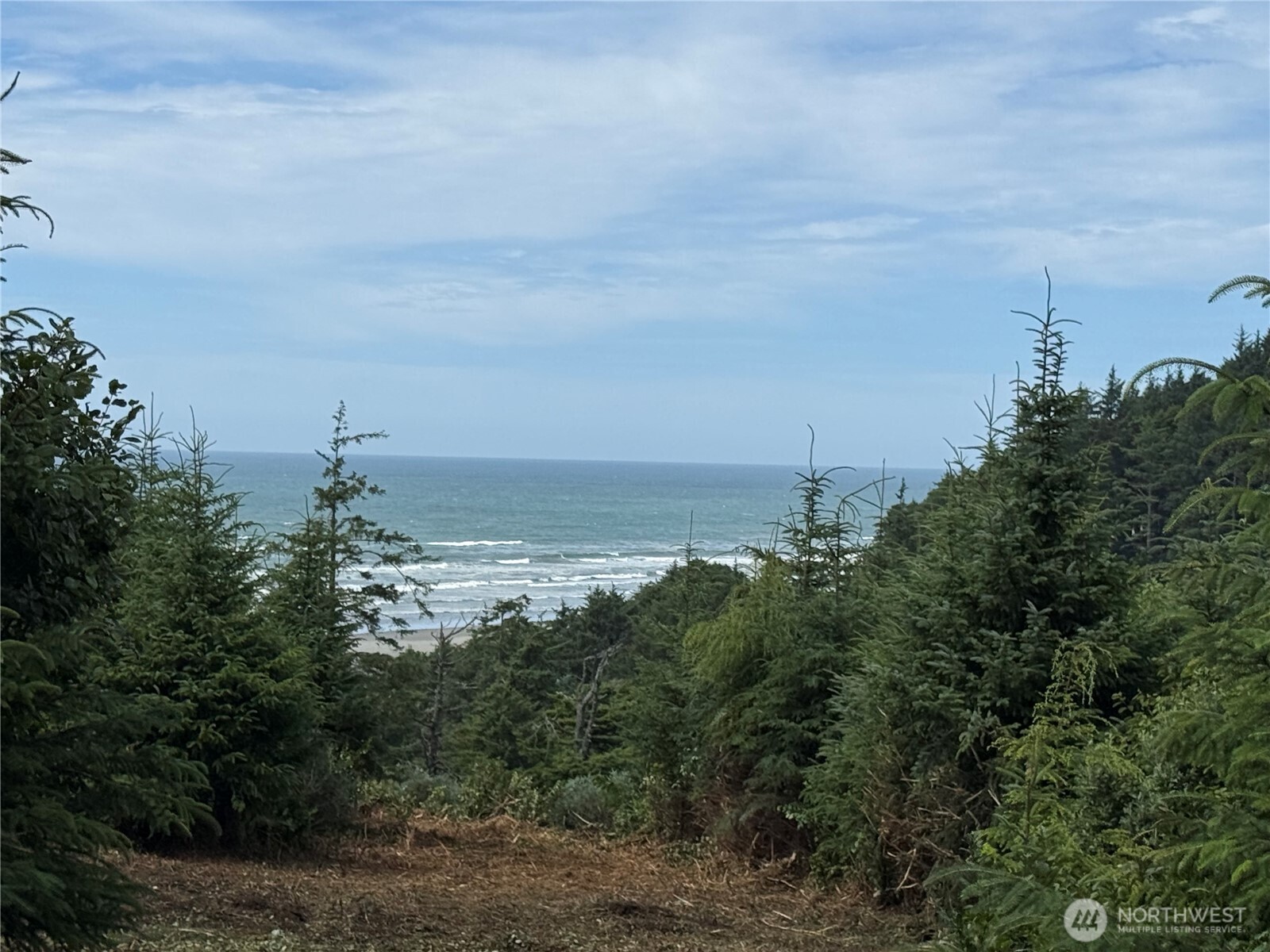 0 XXXO State Route 109