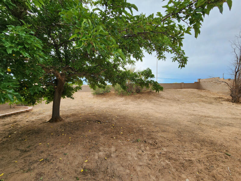 1461 Gadwall Road NE