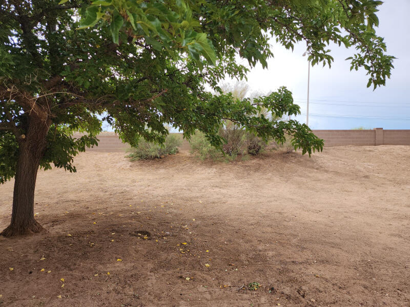 1461 Gadwall Road NE