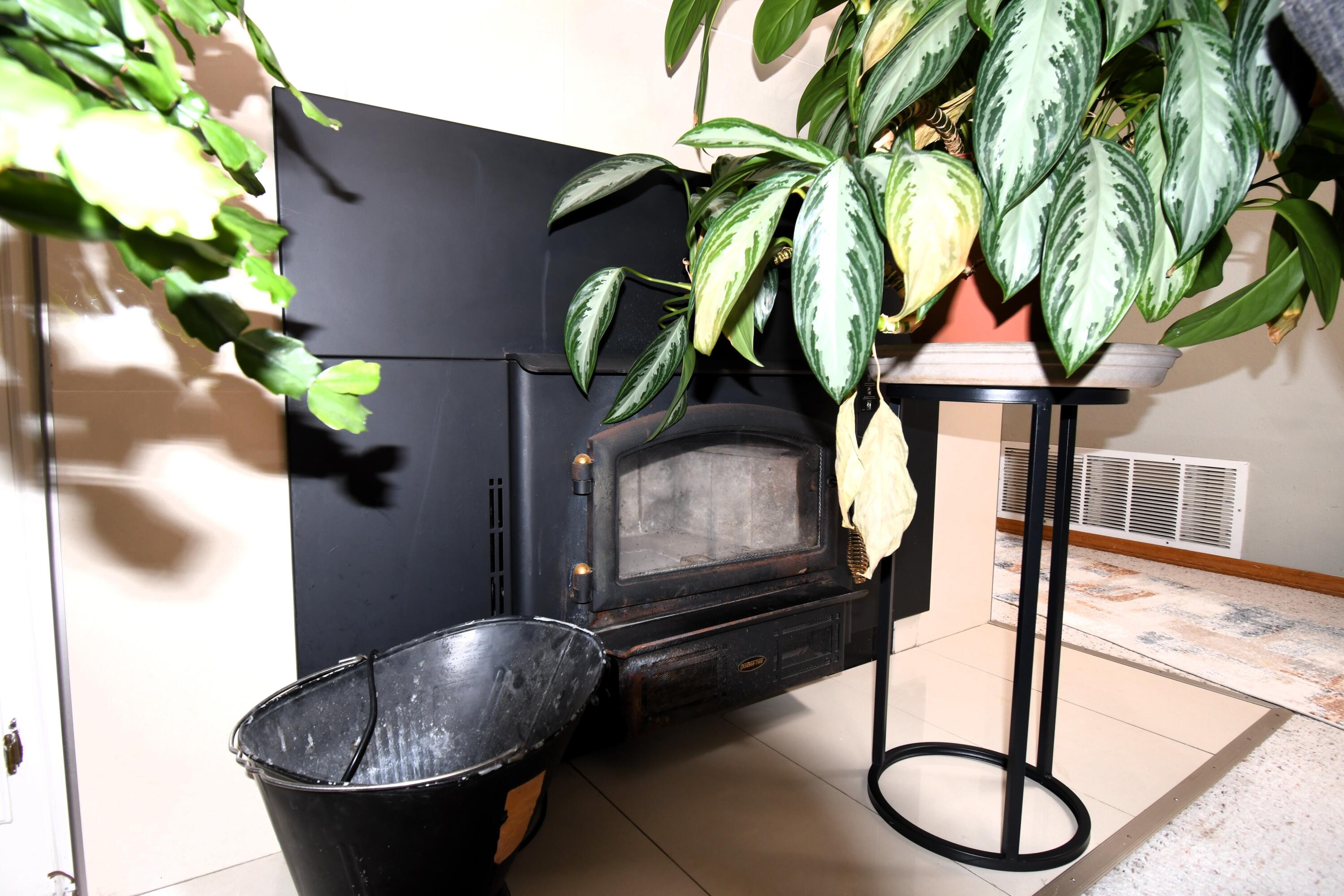 6916 Black Pine Place NE