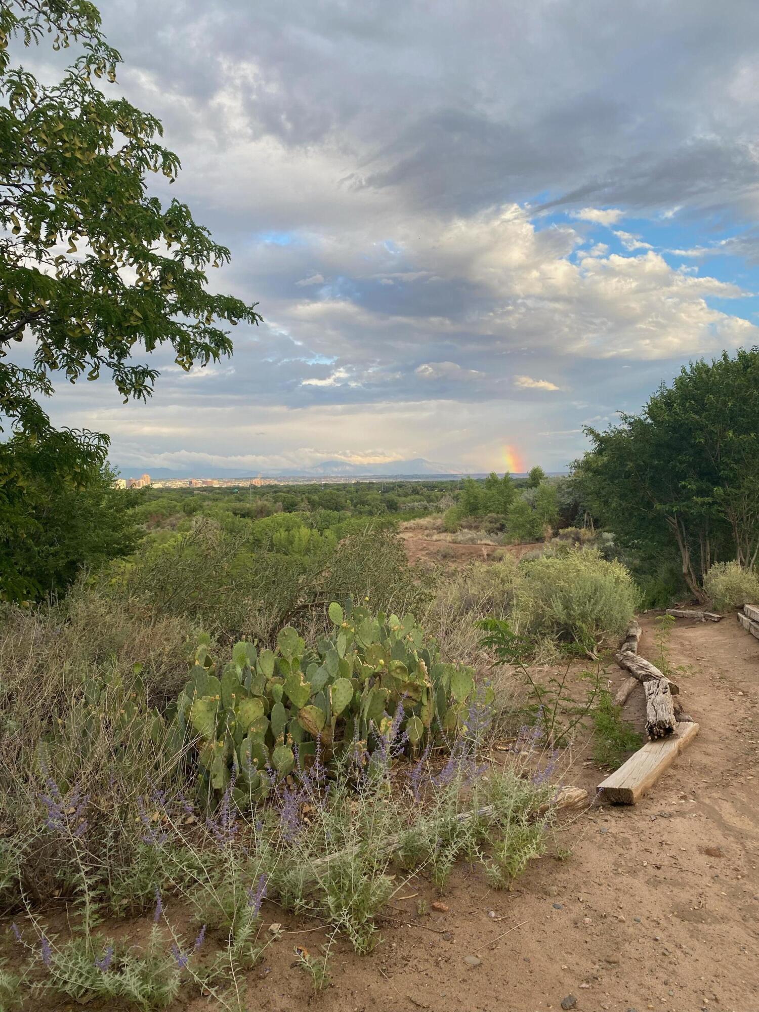 2700 Vista Grande Drive NW 18