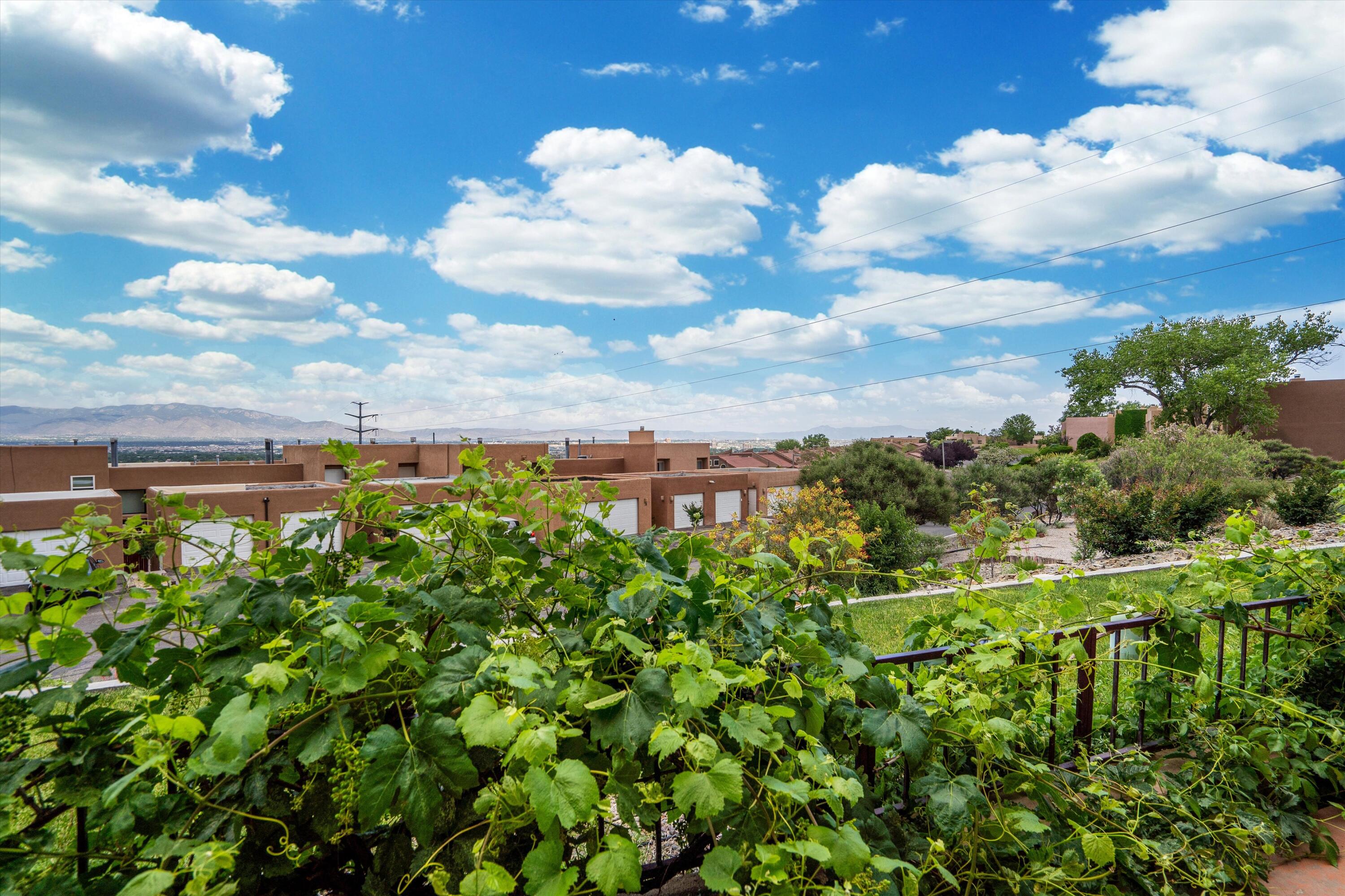 2700 Vista Grande Drive NW 18