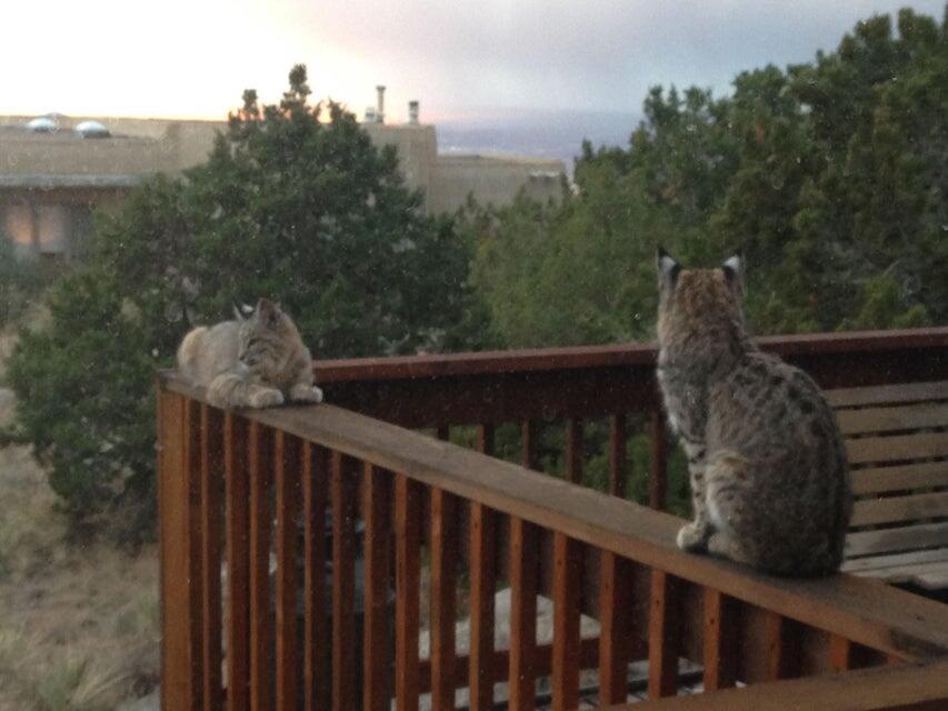 33 Cedar Hill Place NE