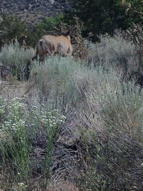 33 Cedar Hill Place NE