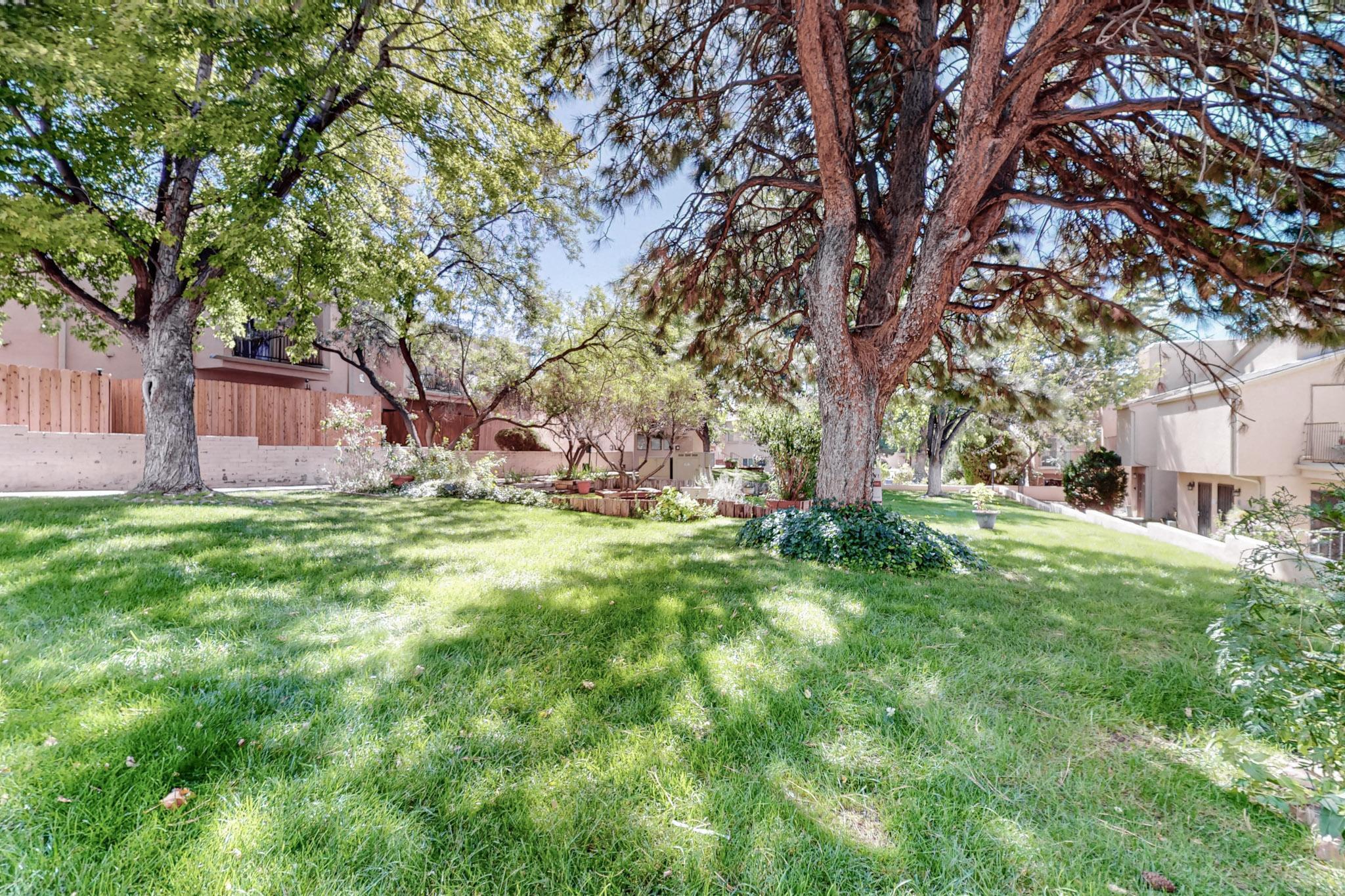 3501 JUAN TABO Boulevard NE M3
