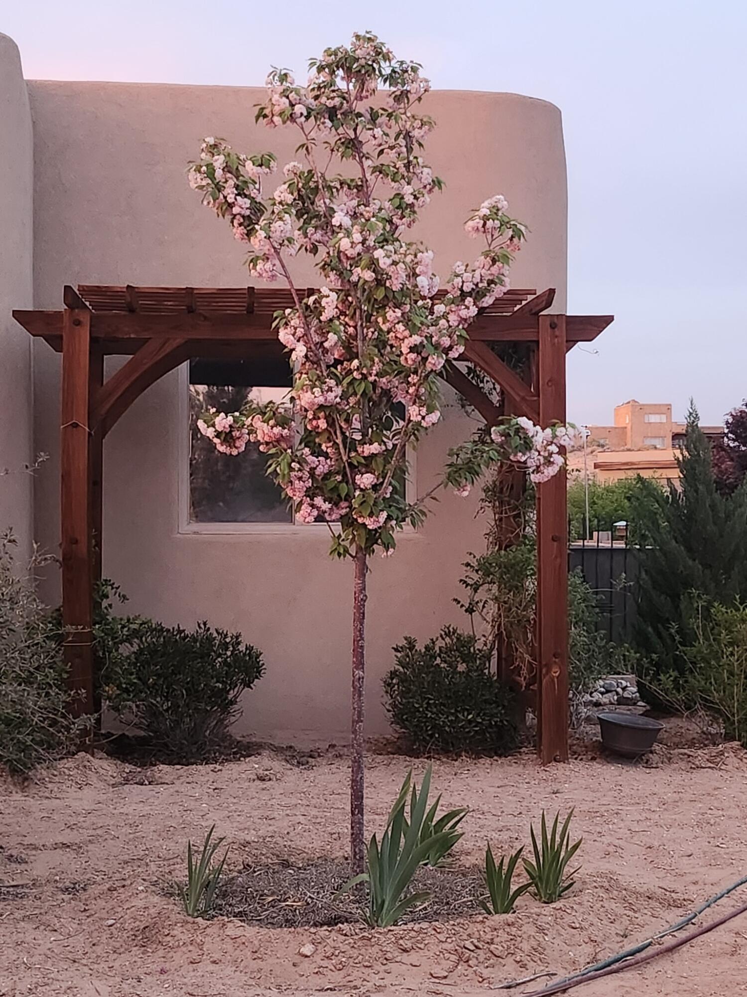 5713 RIO OSO Road NE