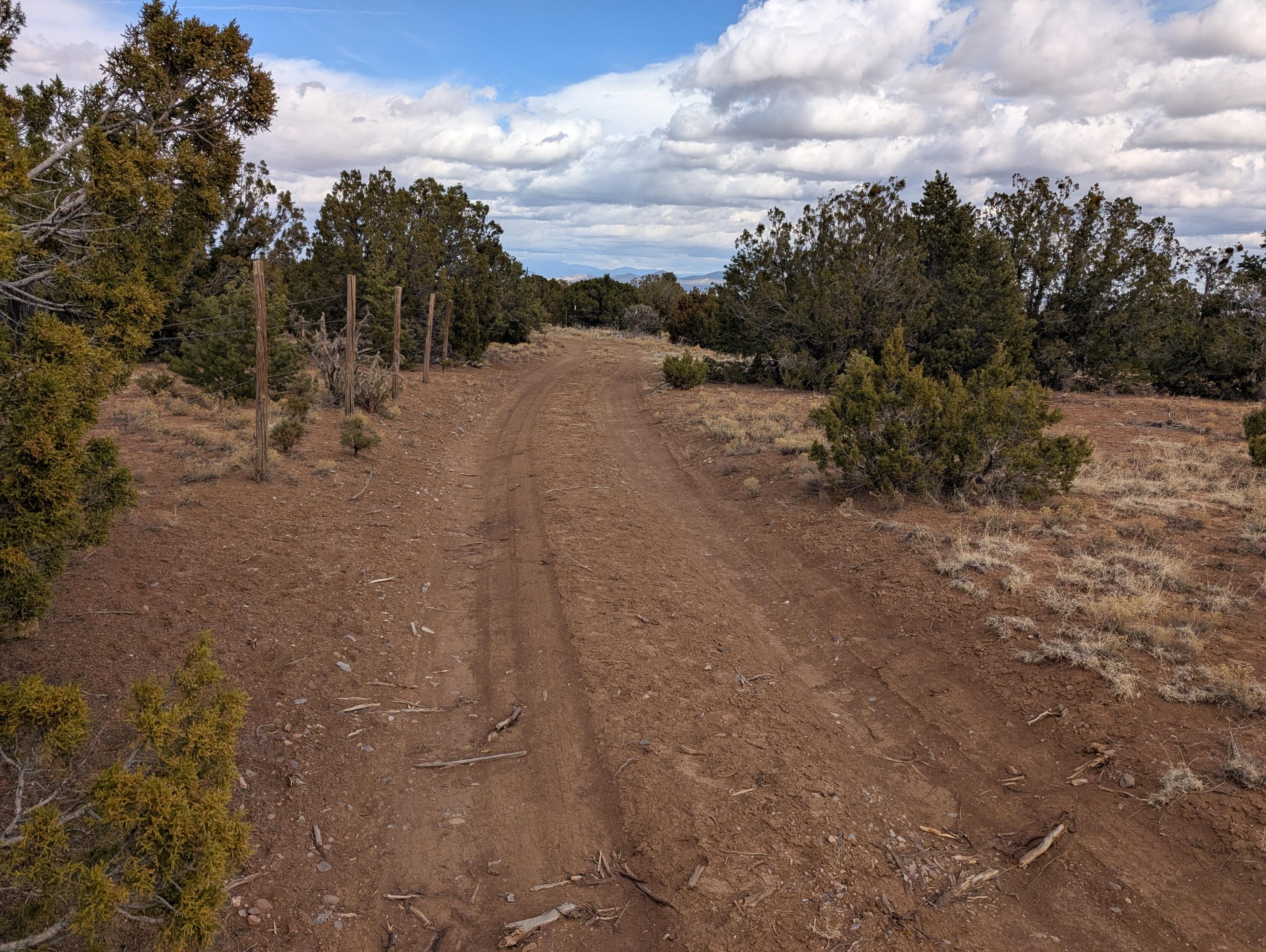 Kings Meadow H-4 Road