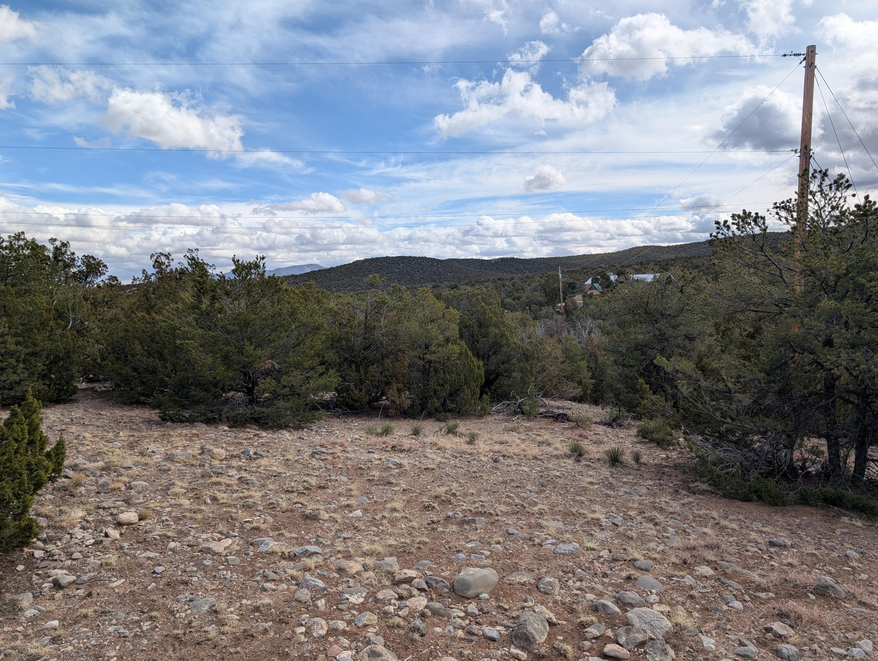 Kings Meadow Lot H1 & H2 Road