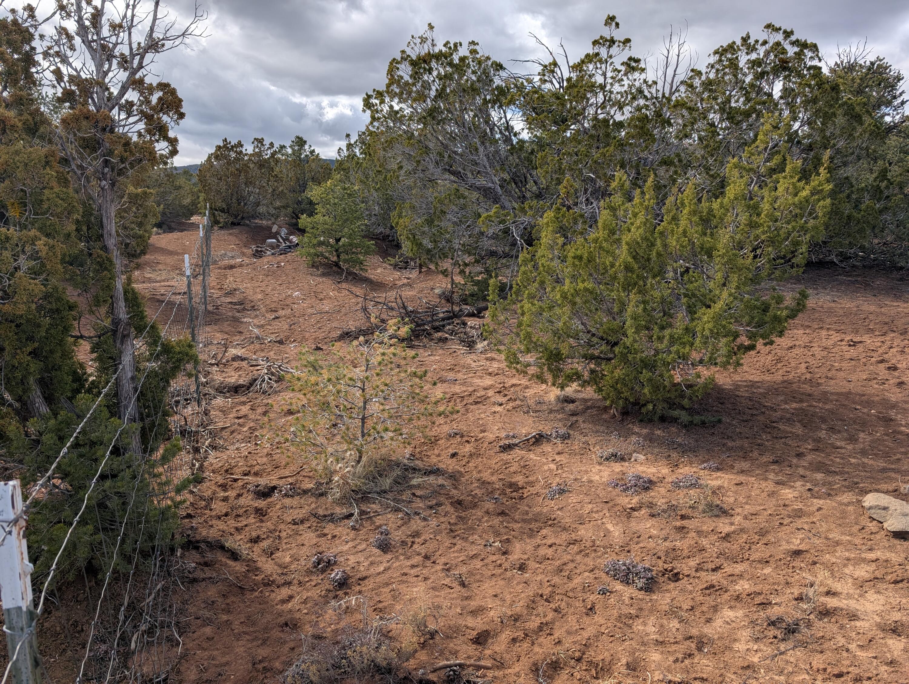 Kings Meadow Lot H1 & H2 Road