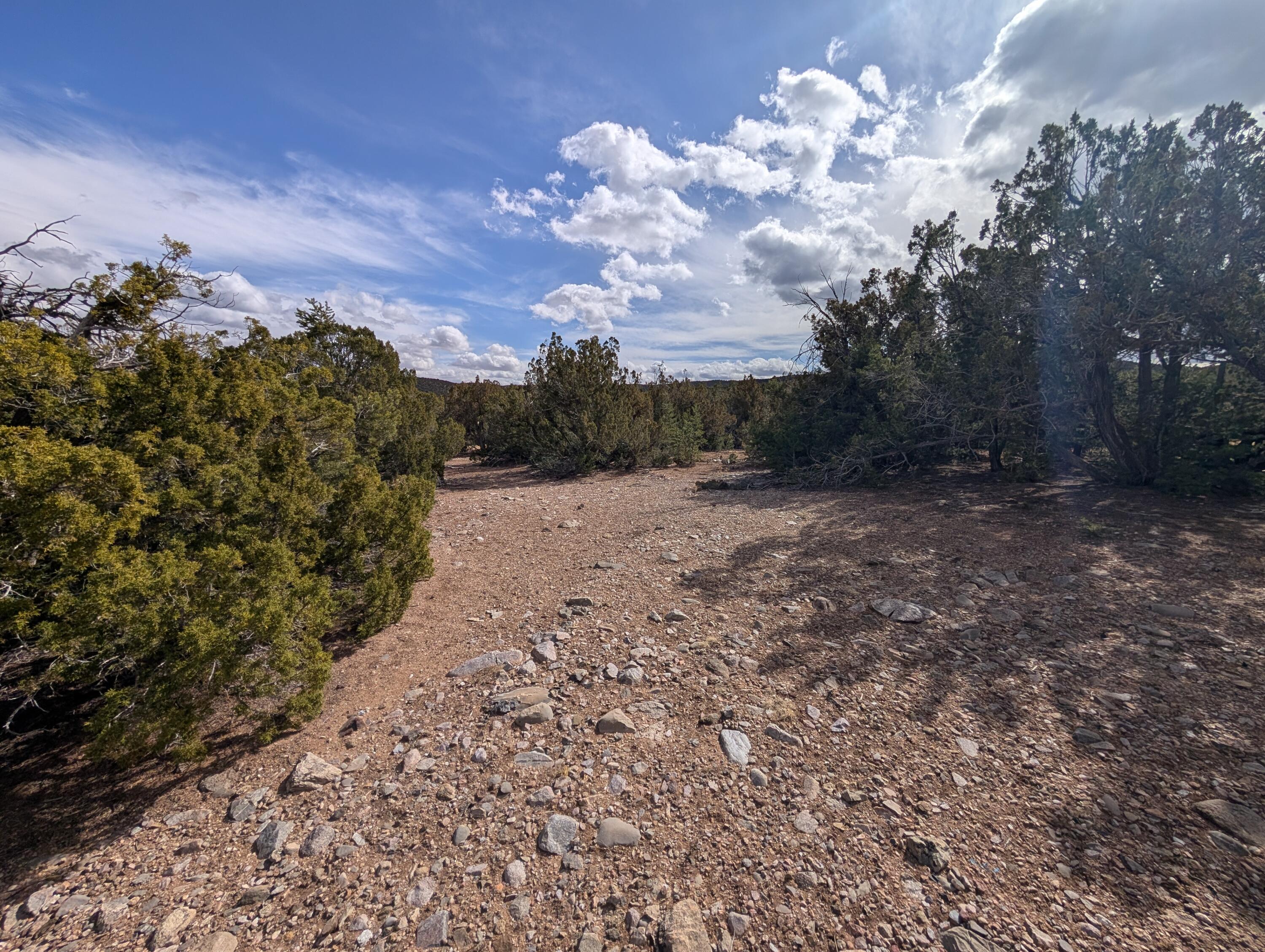 Kings Meadow Lot H1 & H2 Road