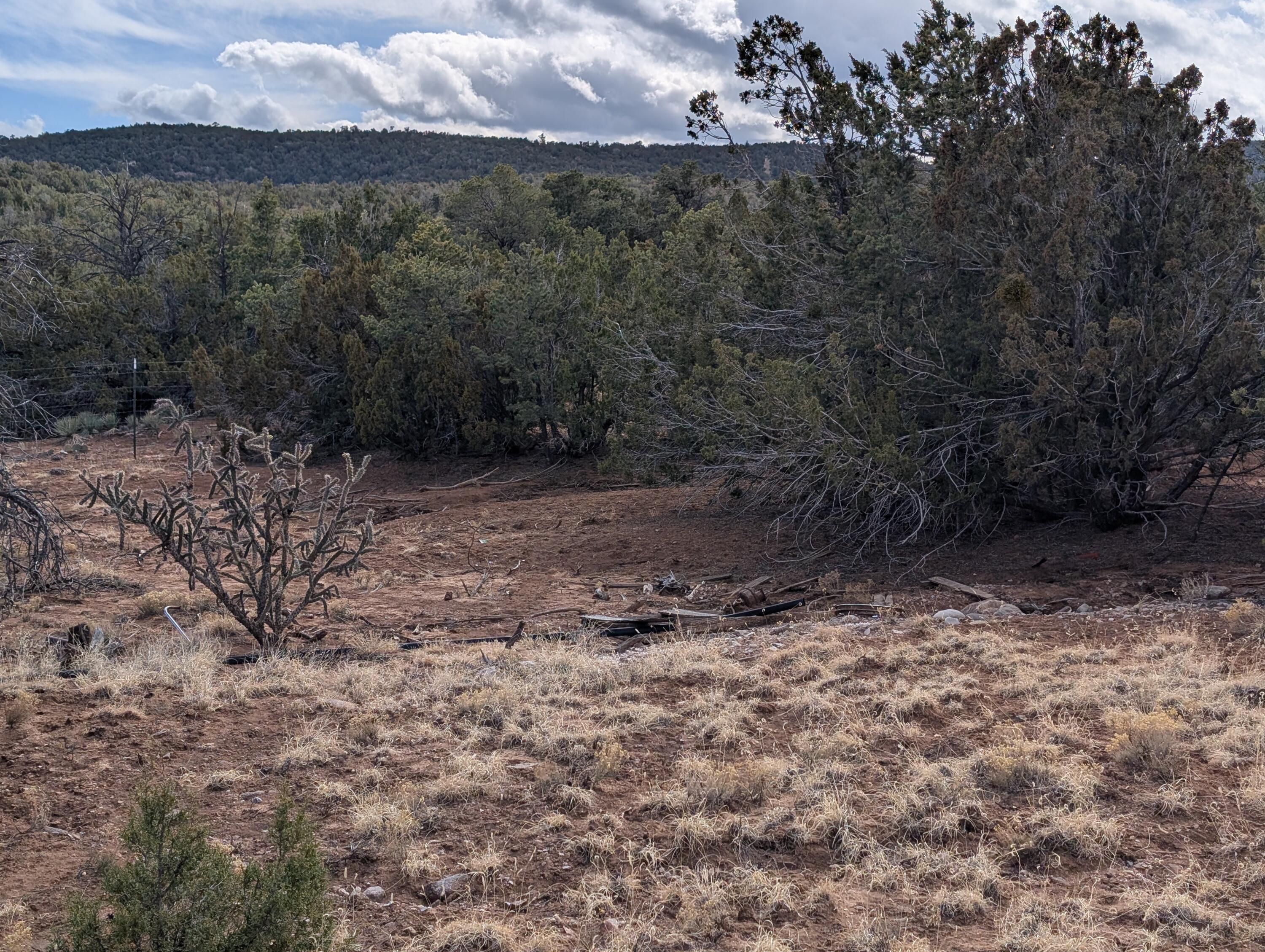 Kings Meadow Lot H1 & H2 Road