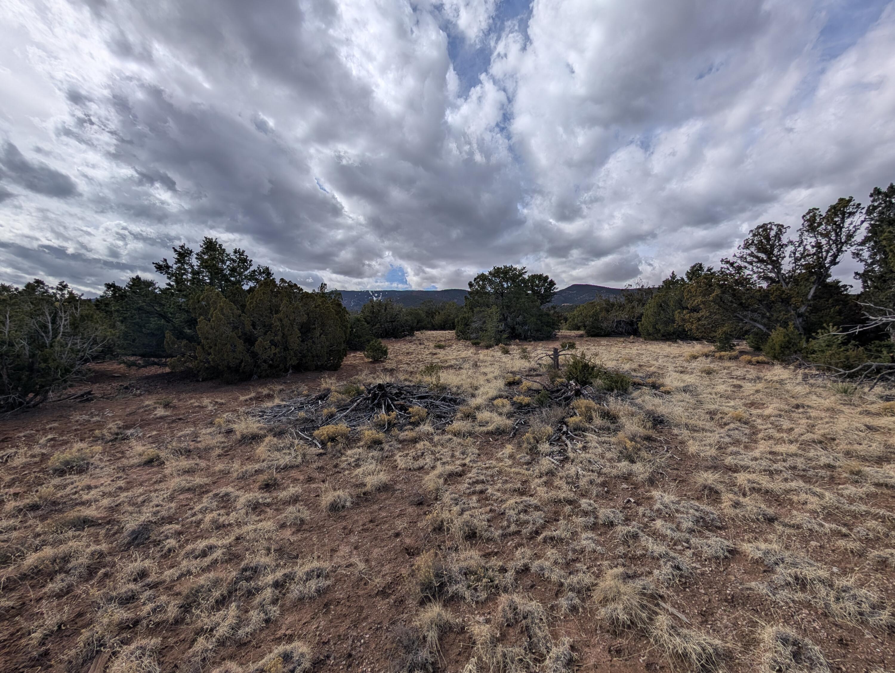 Kings Meadow Lot H1 & H2 Road