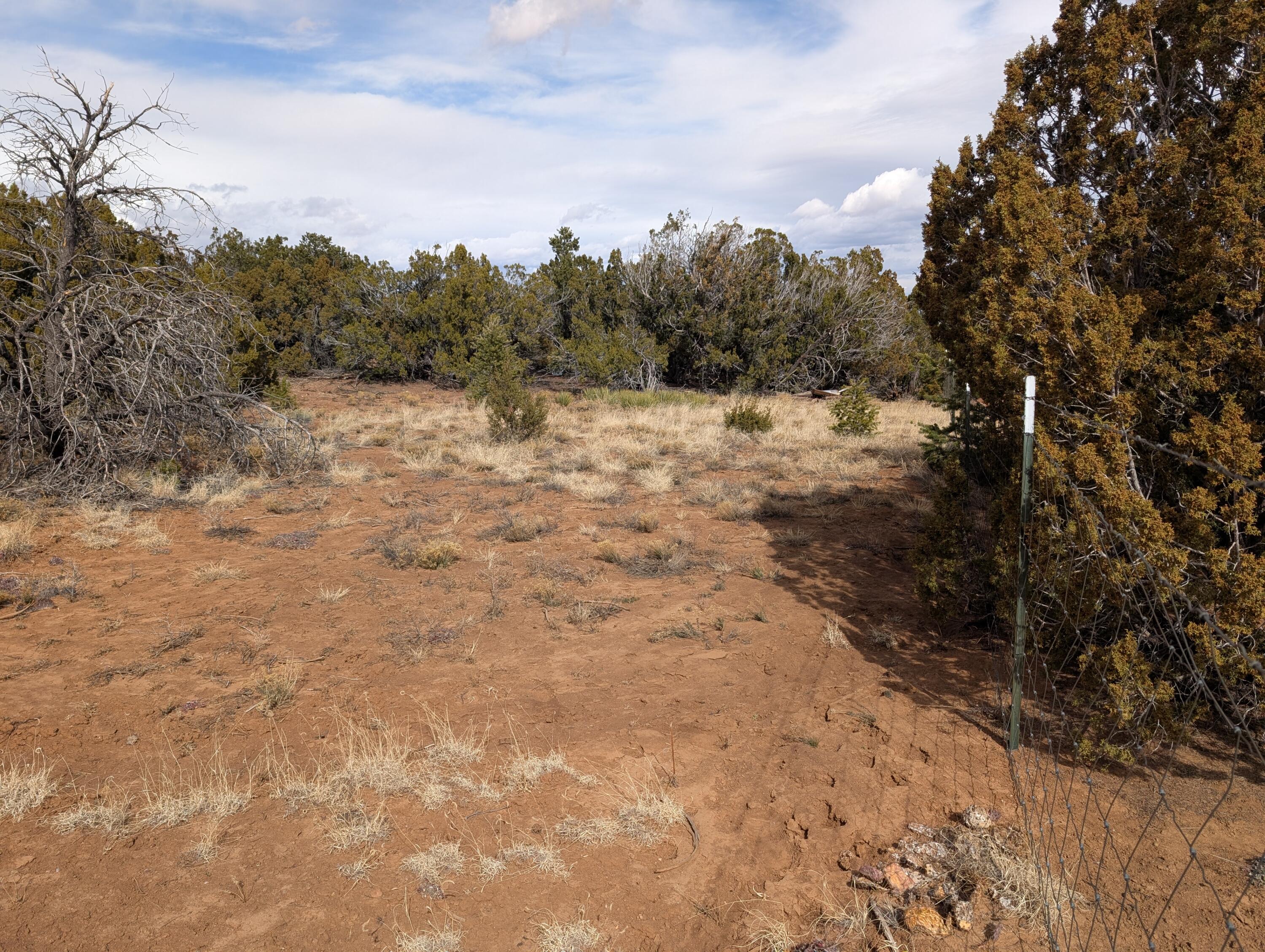 Kings Meadow Lot H1 & H2 Road