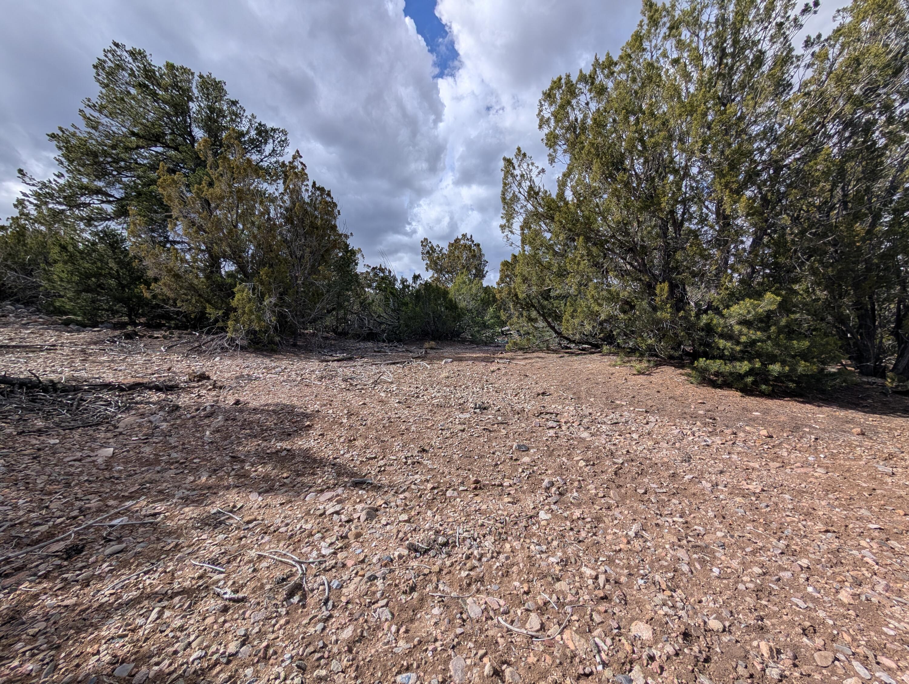 Kings Meadow Lot H1 & H2 Road