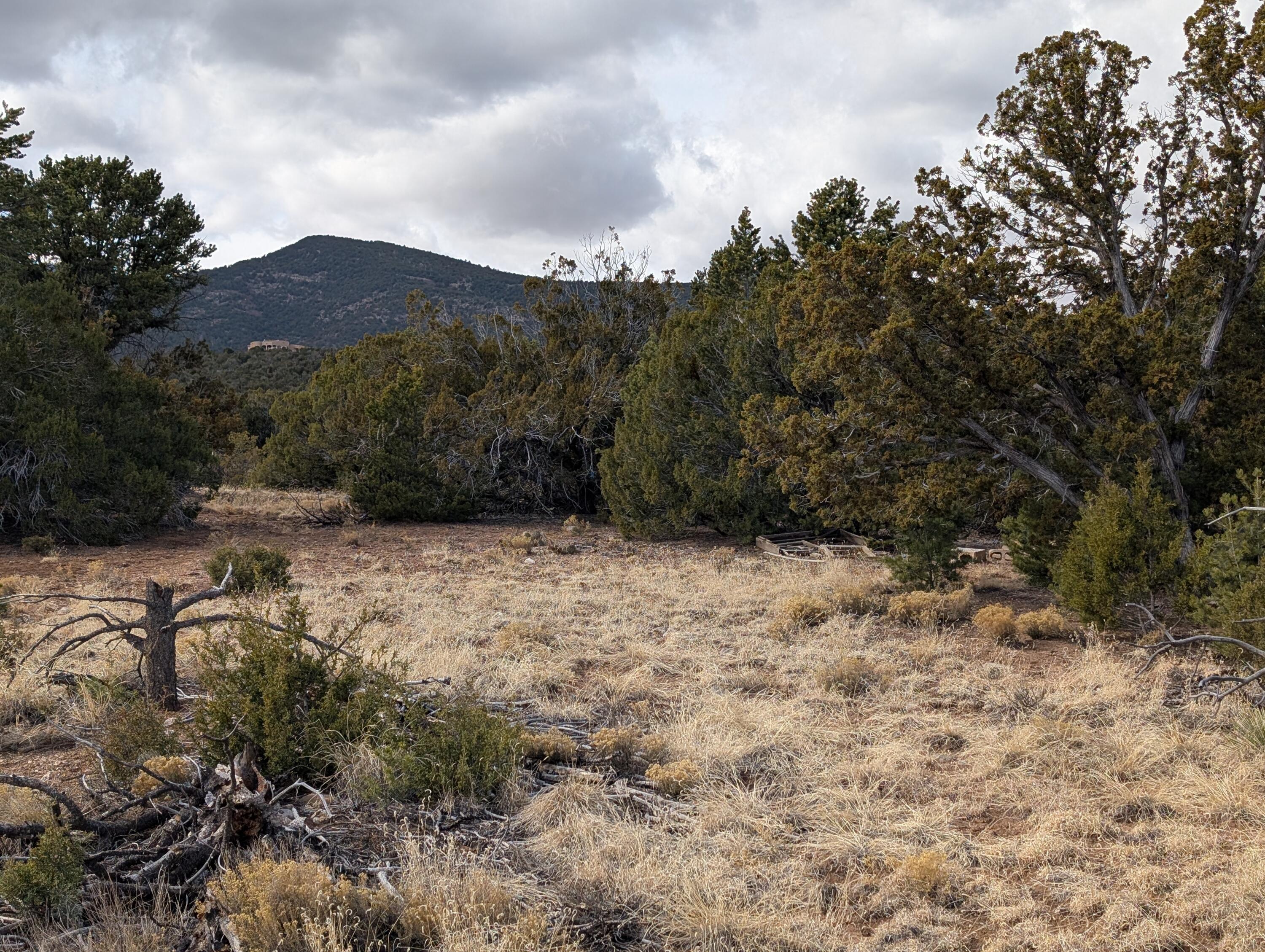 Kings Meadow Lot H1 & H2 Road