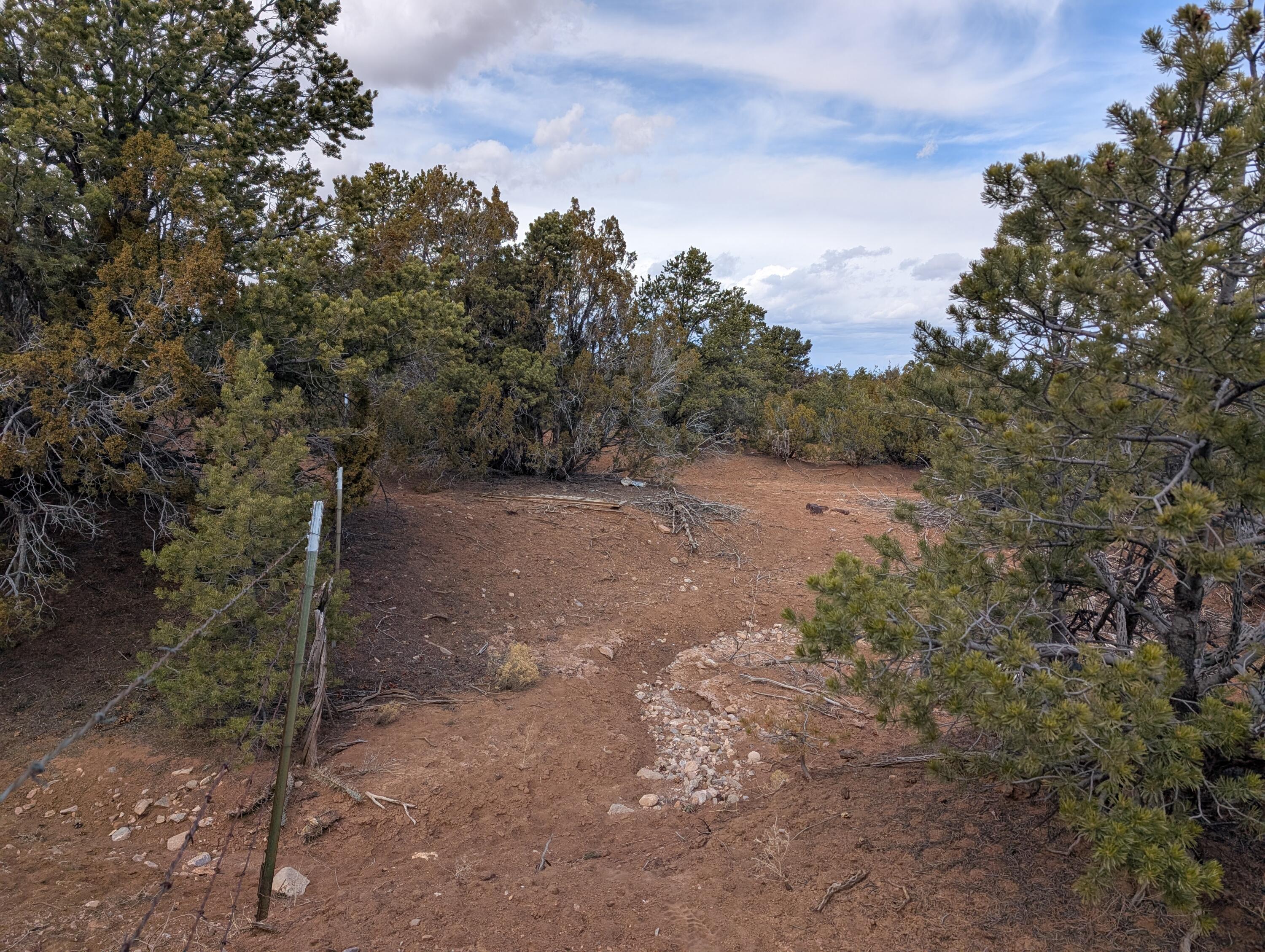 Kings Meadow Lot H1 & H2 Road