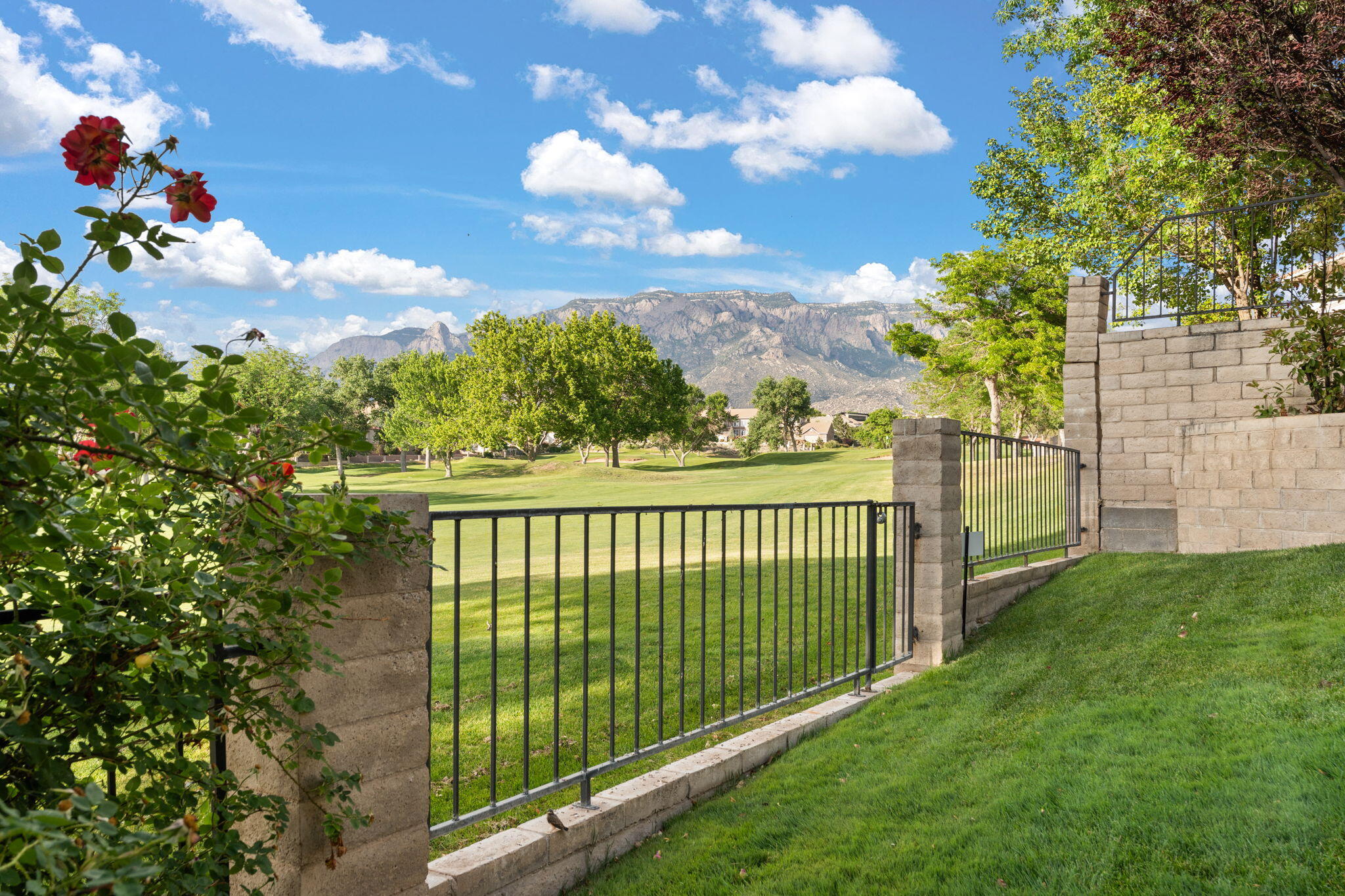 11611 PAGANICA Way NE