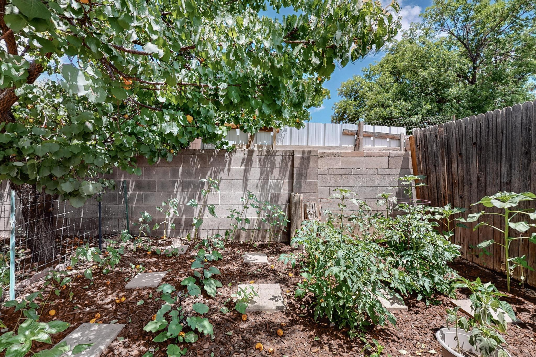 3904 GENERAL BRADLEY Street NE