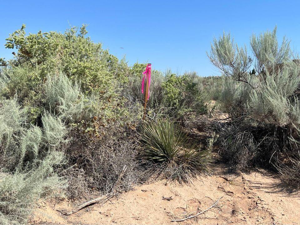 4076 Aloe Circle NE