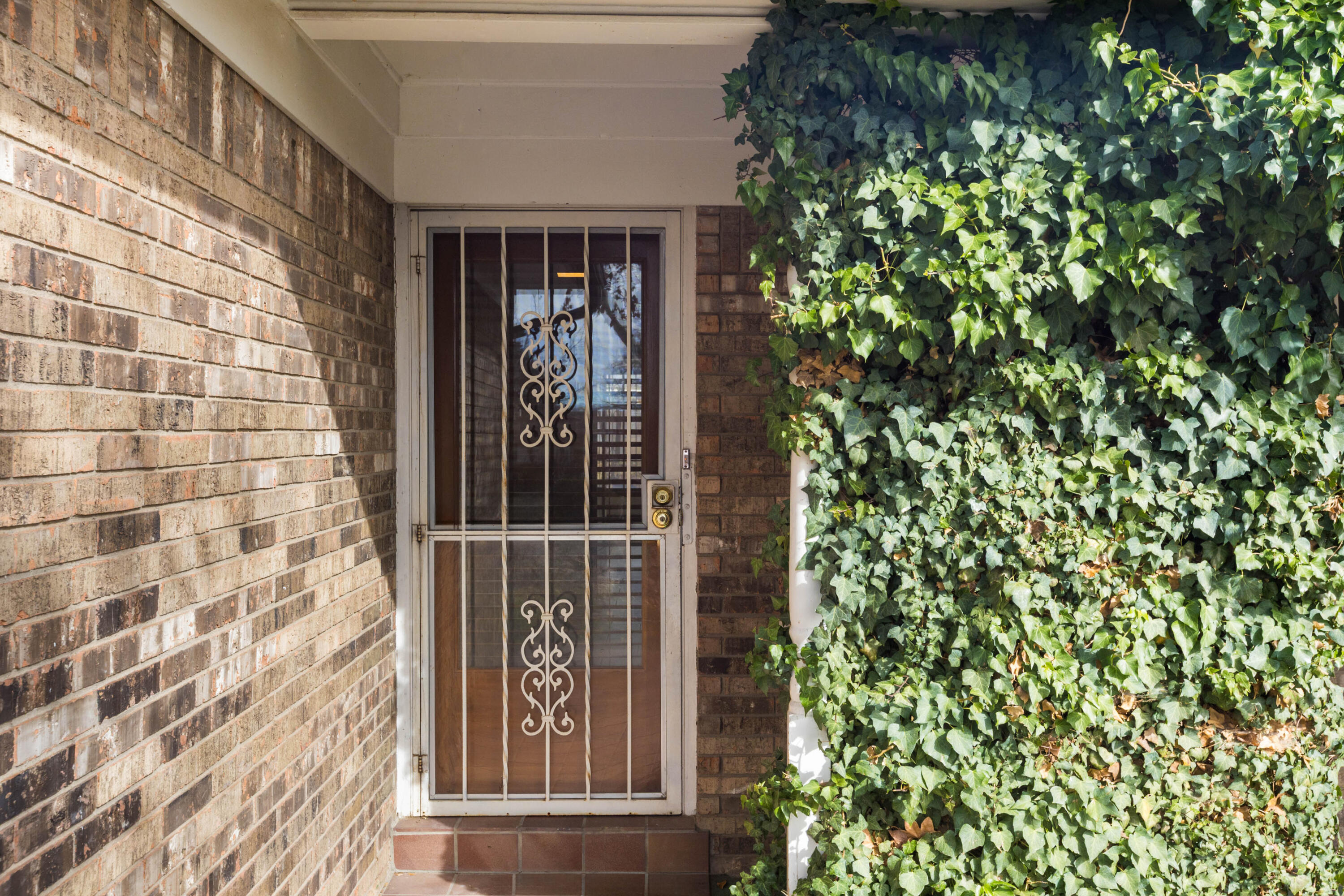 10021 Natalie Court NE