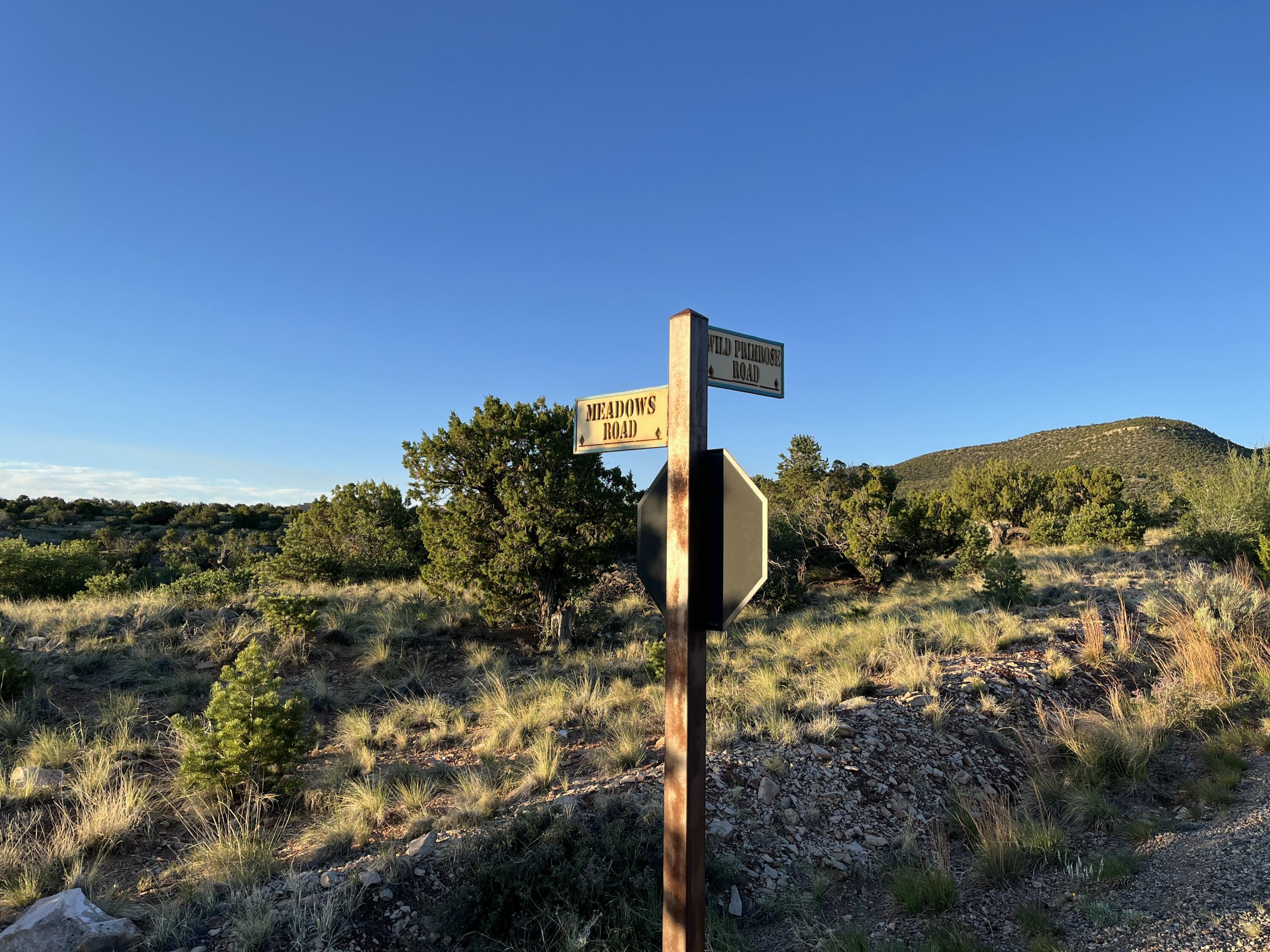 101 Wild Primrose Road