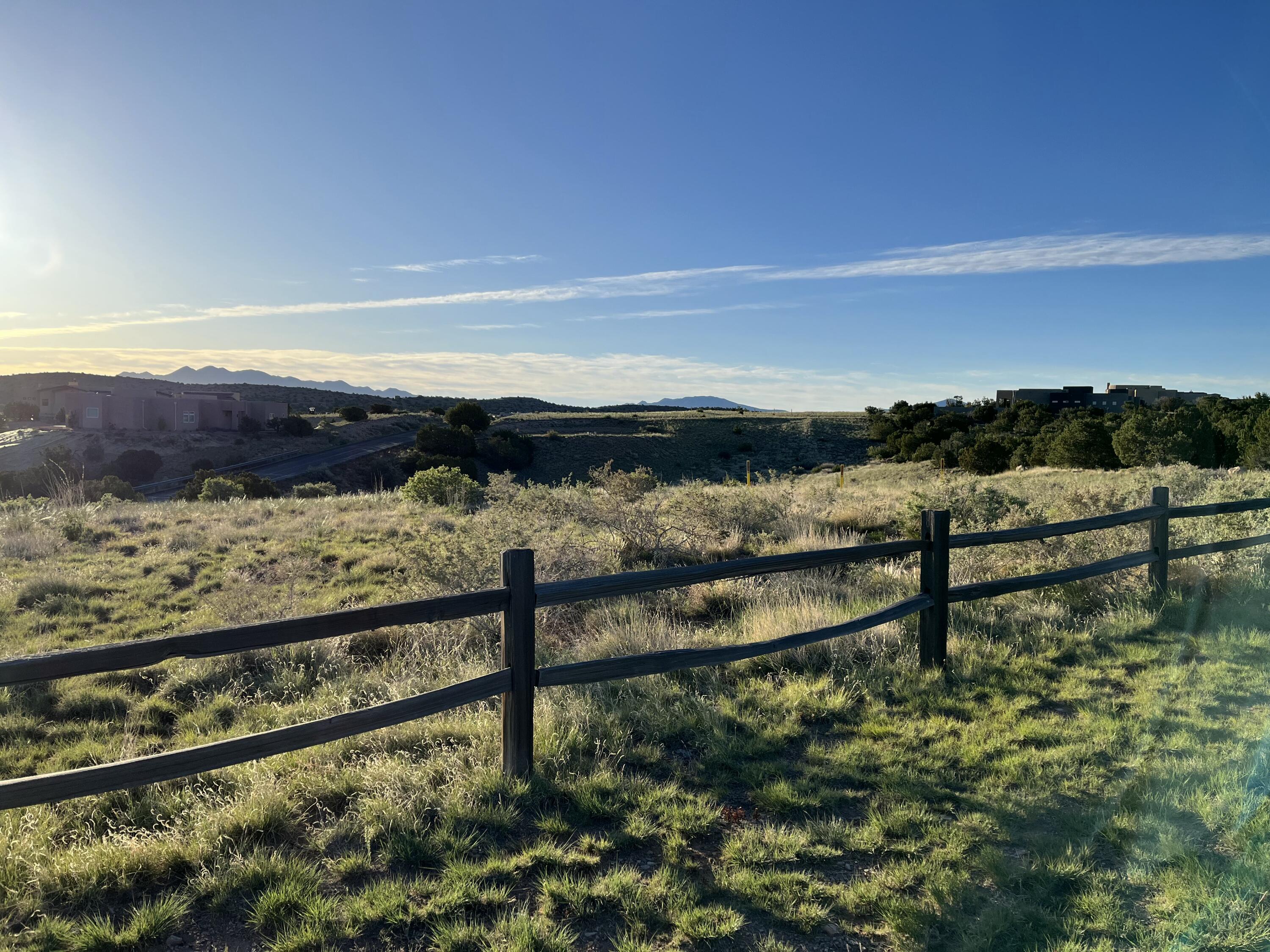 101 Wild Primrose Road