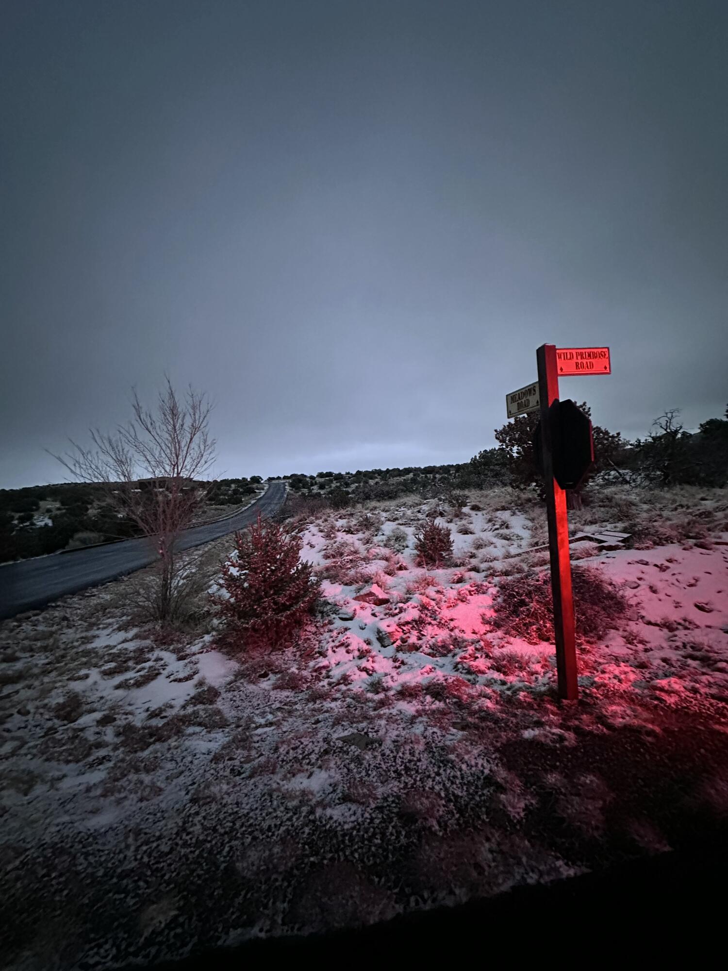 101 Wild Primrose Road