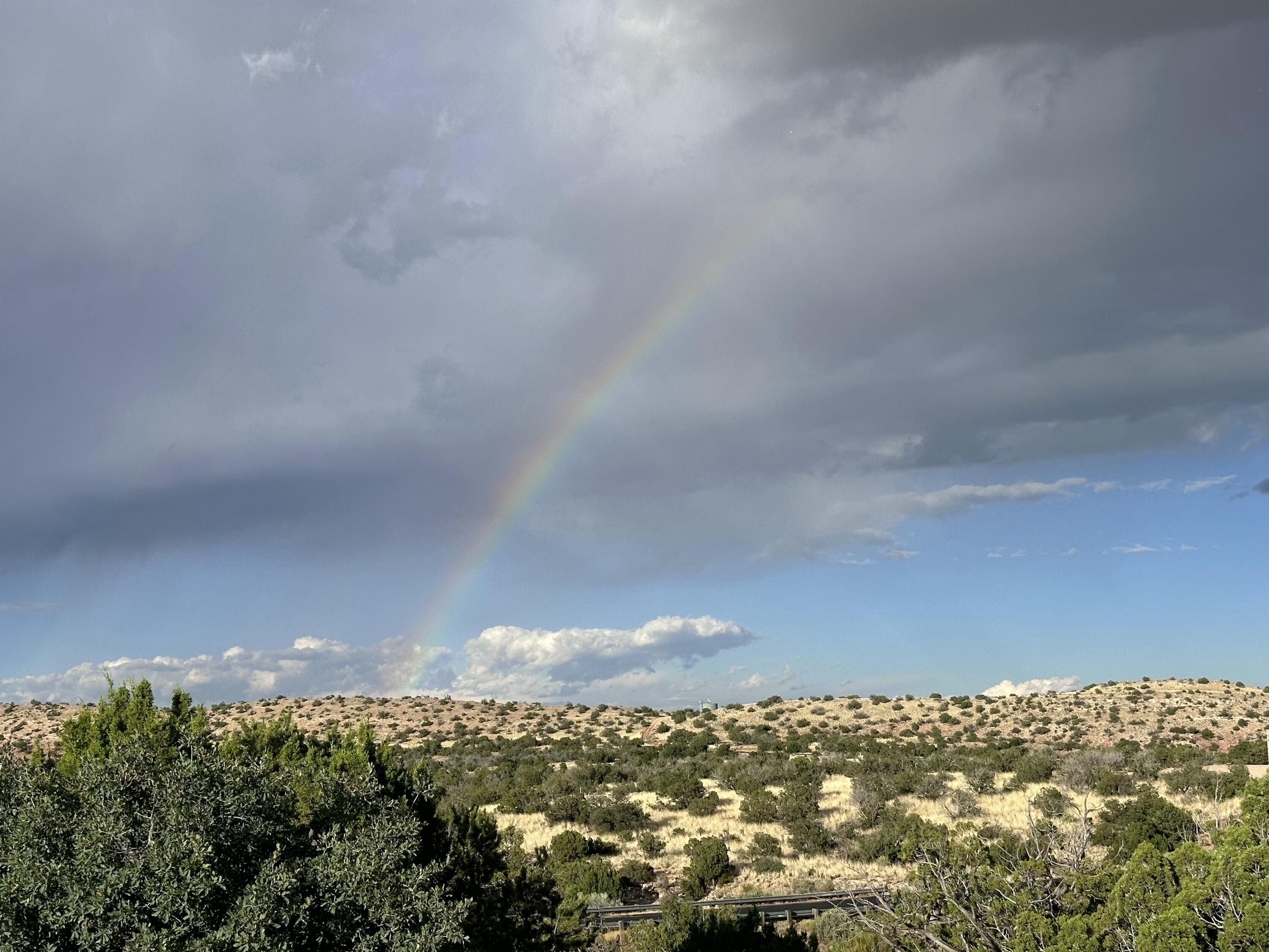 101 Wild Primrose Road