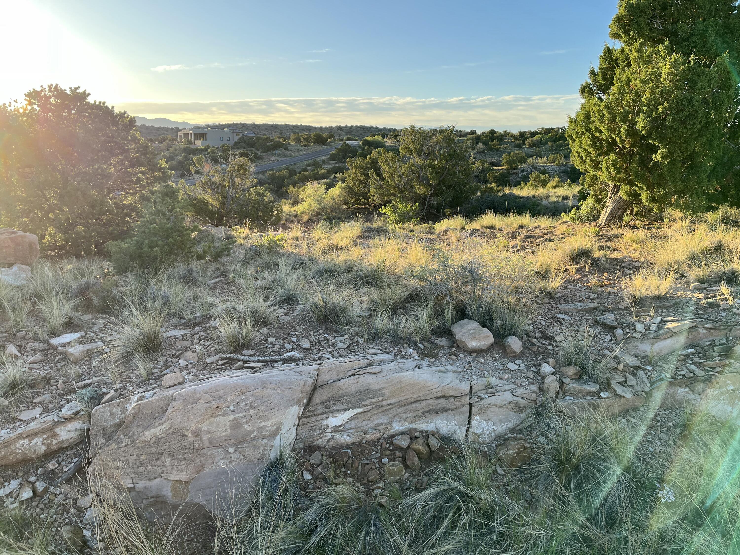 101 Wild Primrose Road