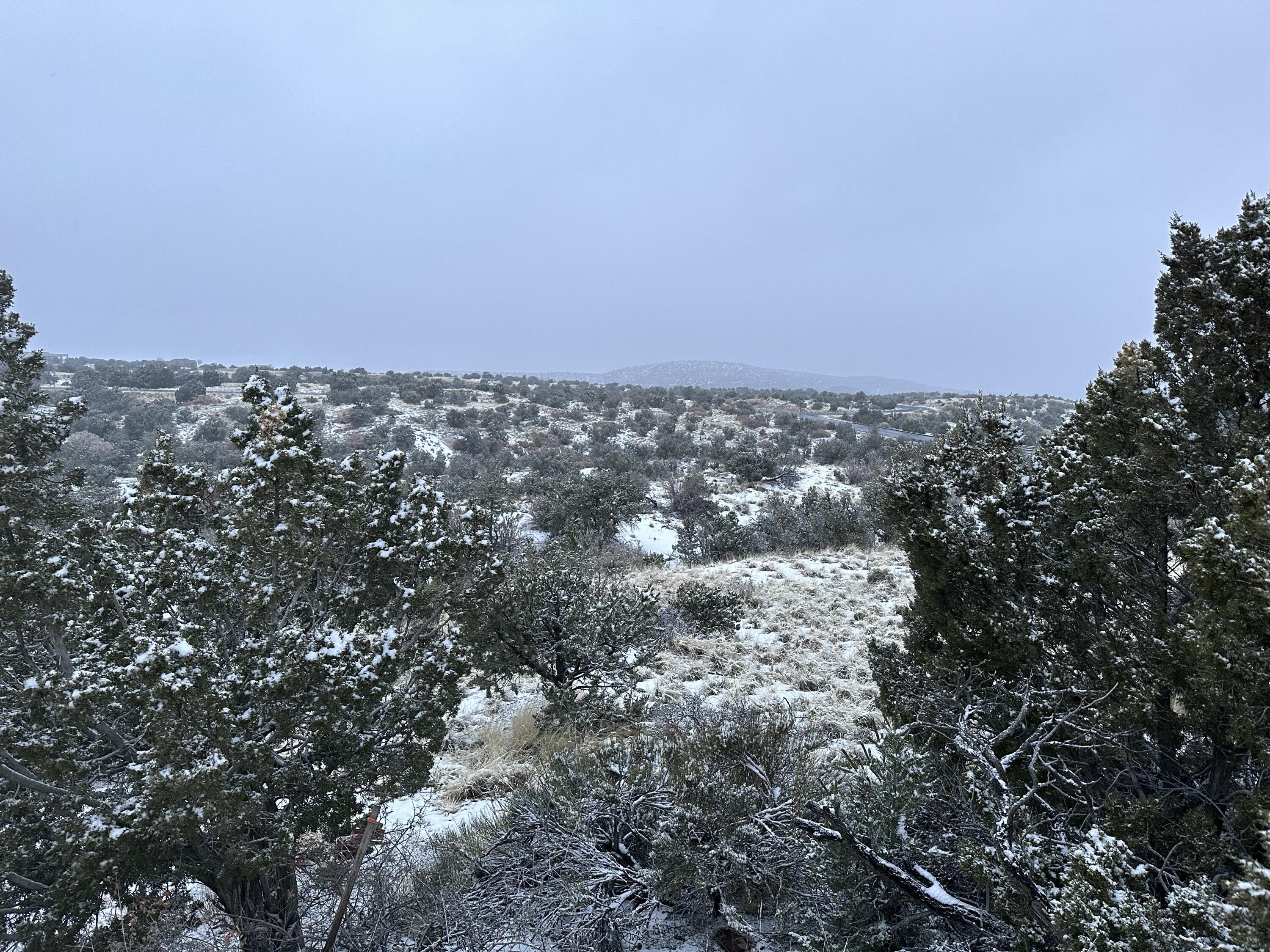 101 Wild Primrose Road