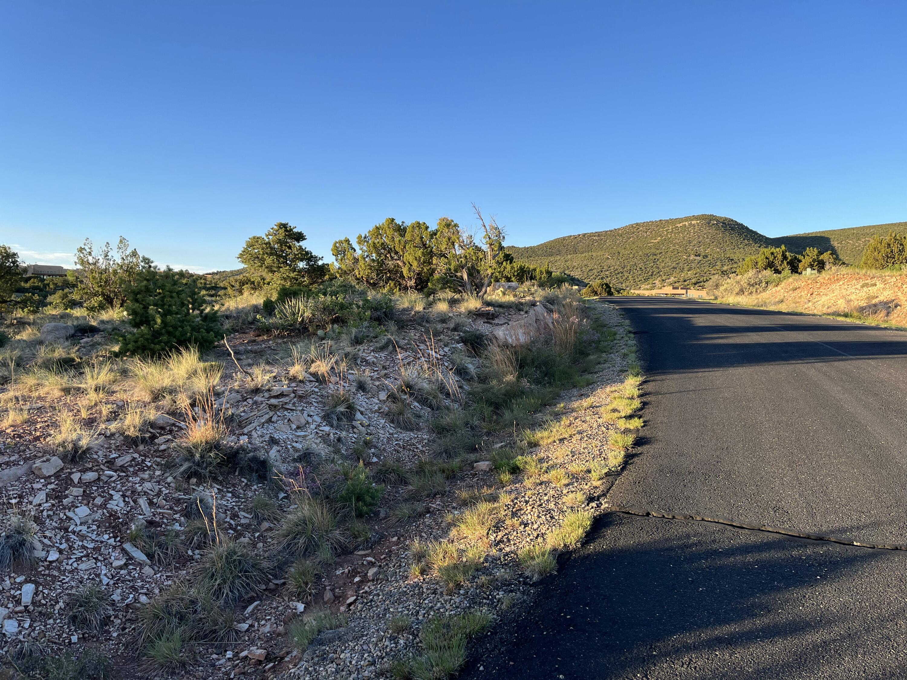 101 Wild Primrose Road