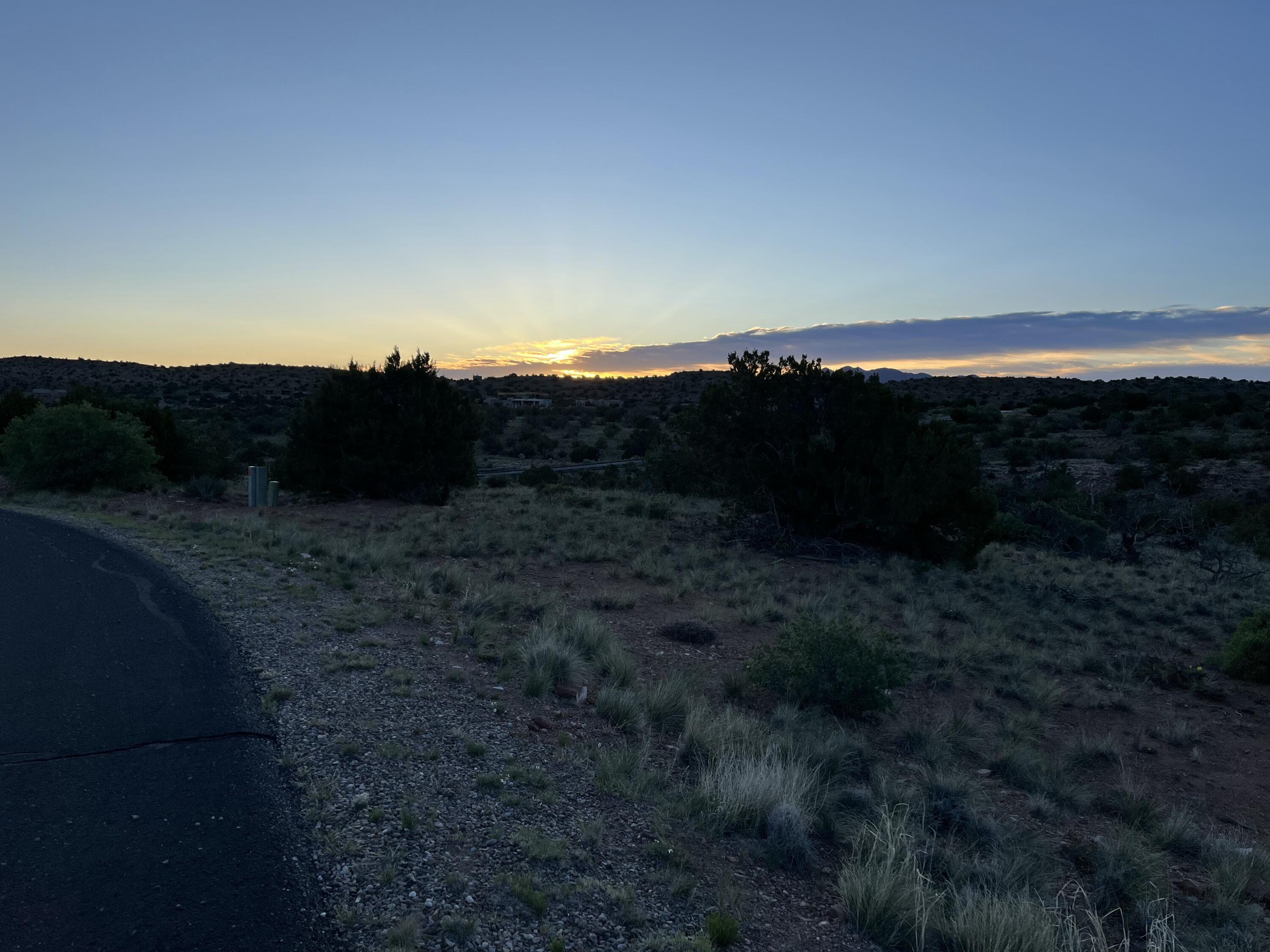 101 Wild Primrose Road