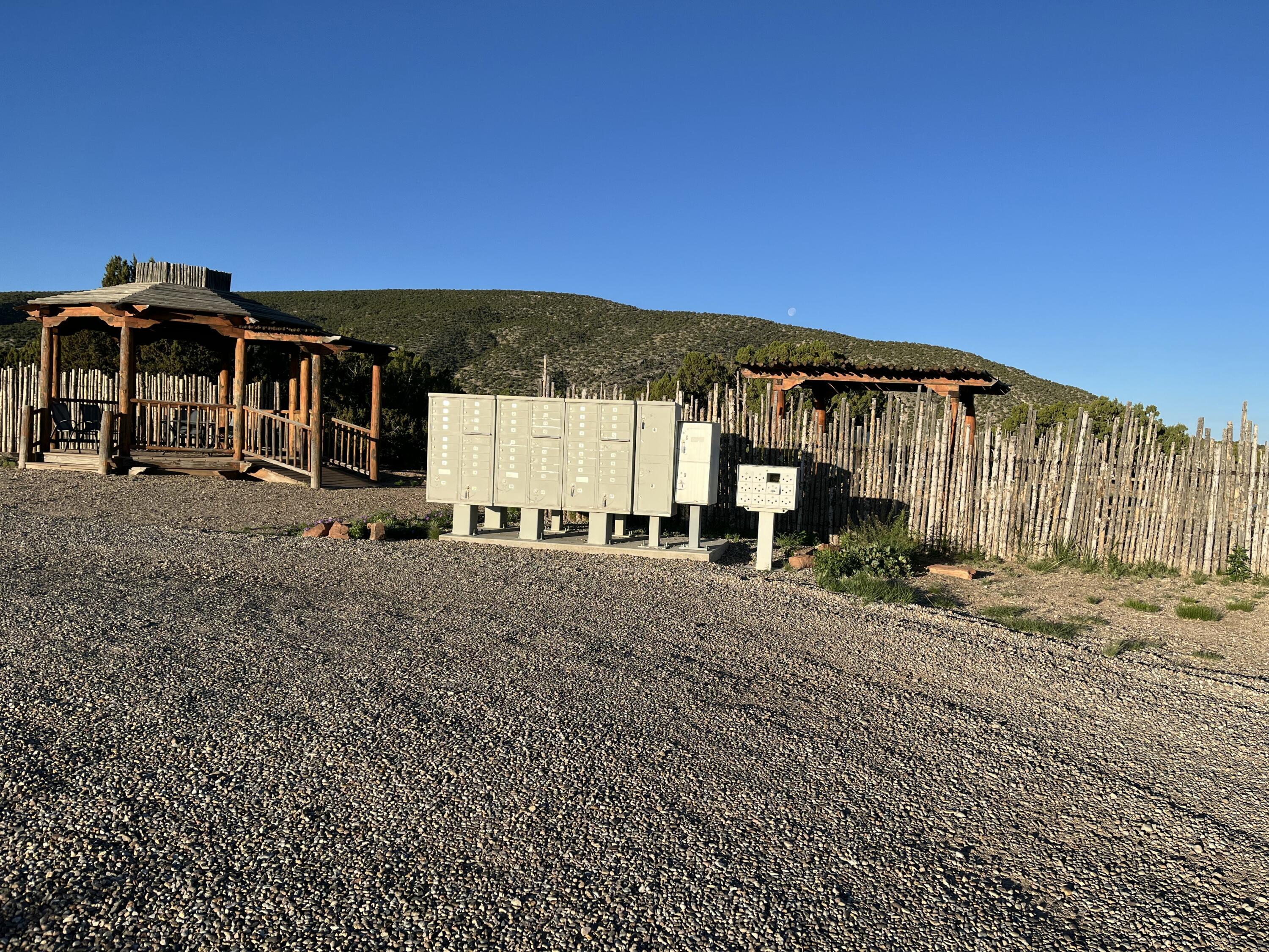 101 Wild Primrose Road