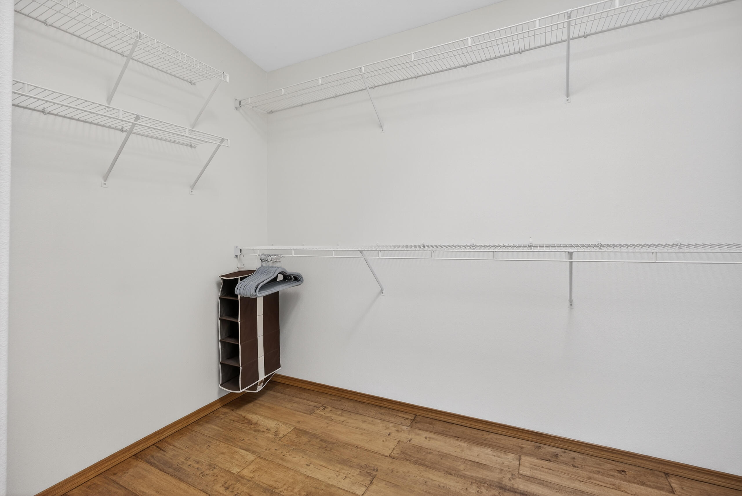 25 Lagarto Road