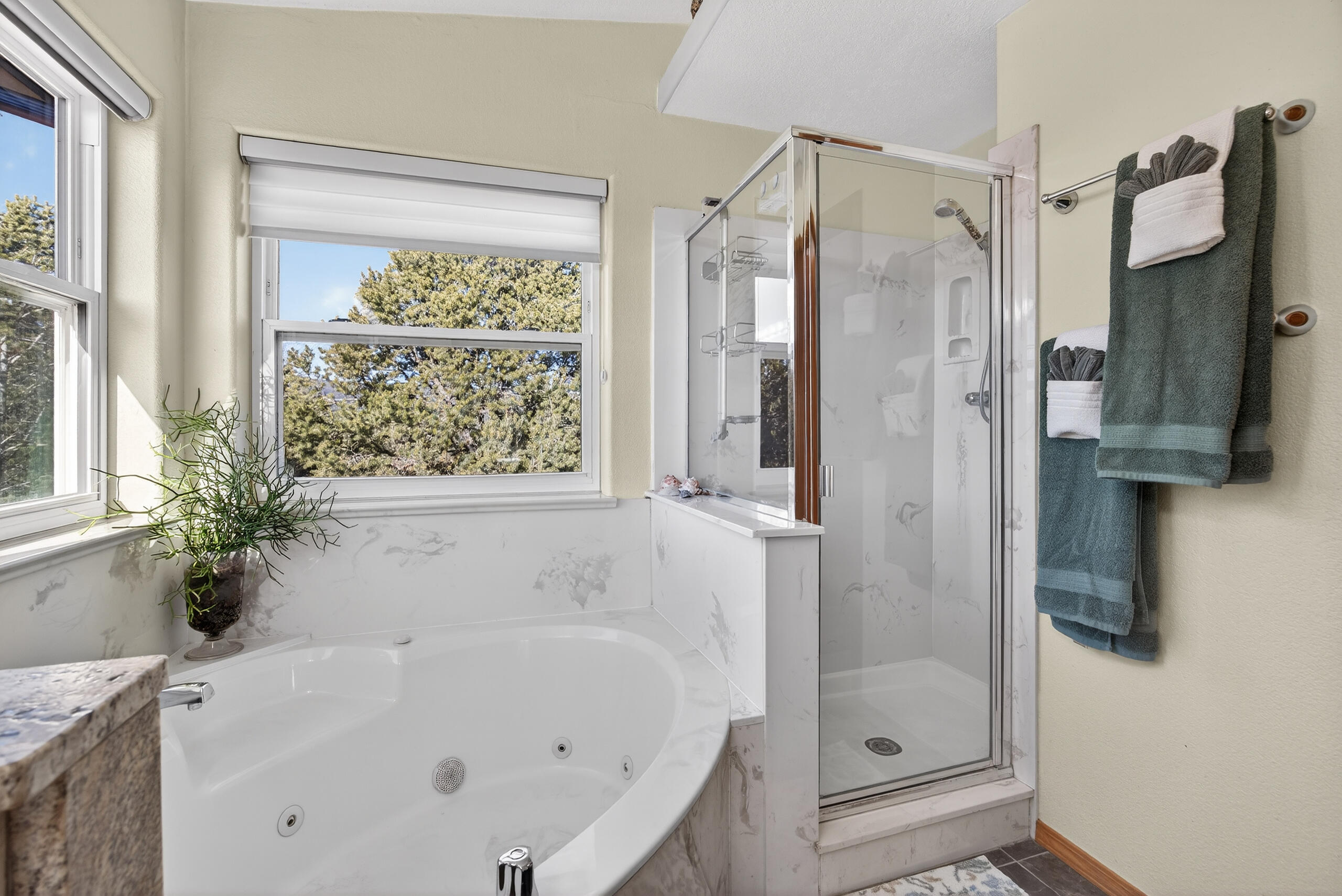 25 Lagarto Road