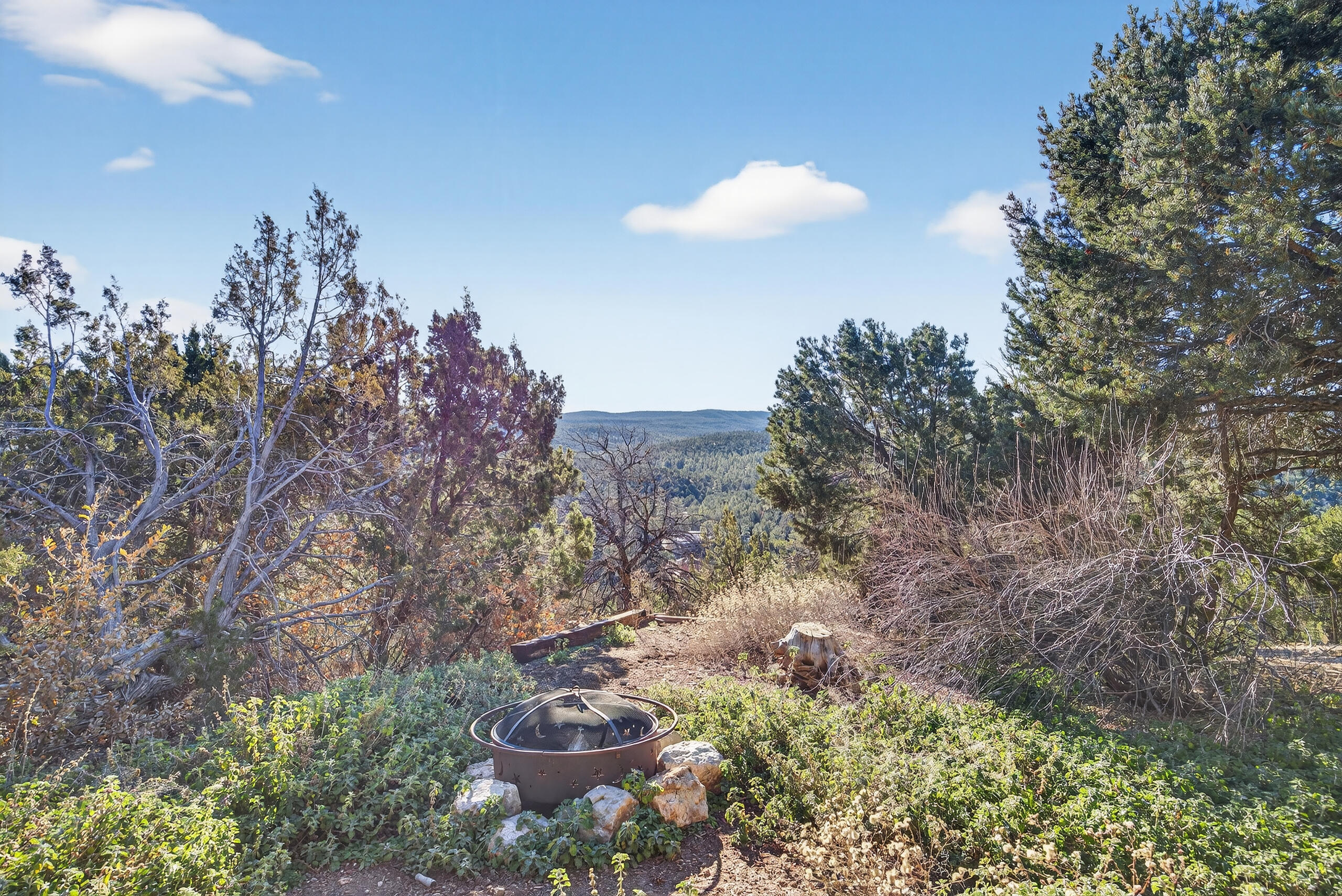 25 Lagarto Road