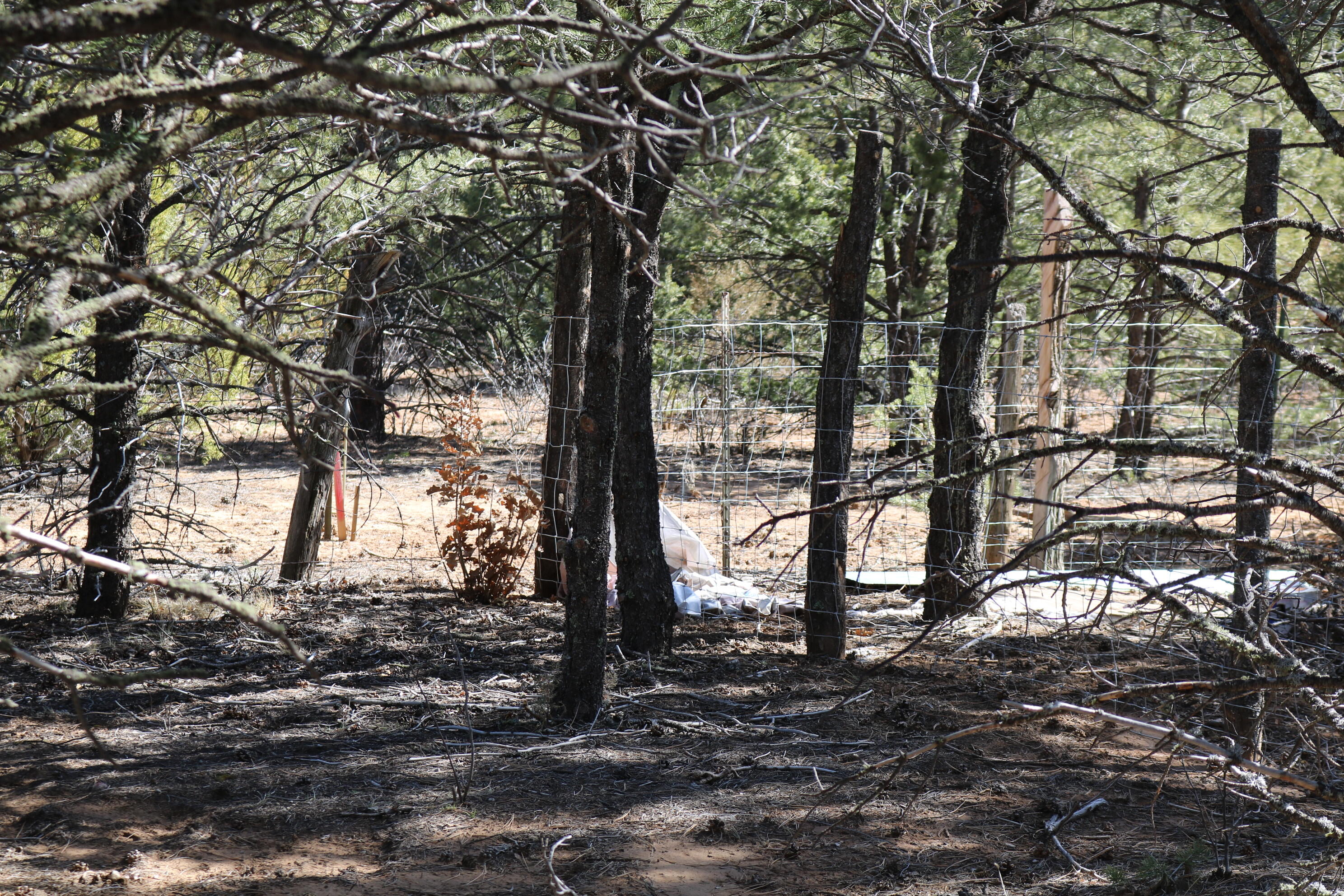 88 & 90 Entrada De Cibola