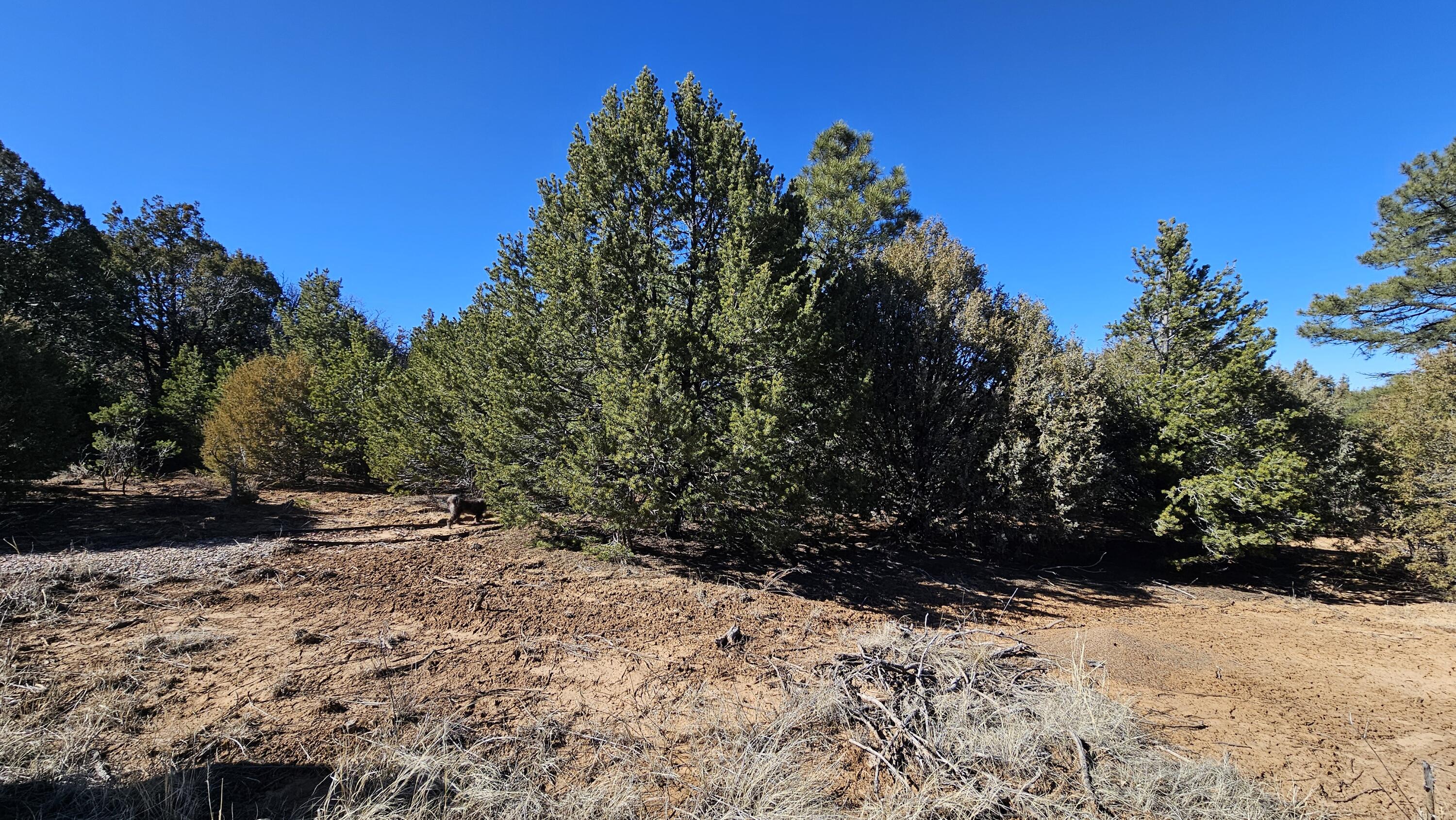 88 & 90 Entrada De Cibola