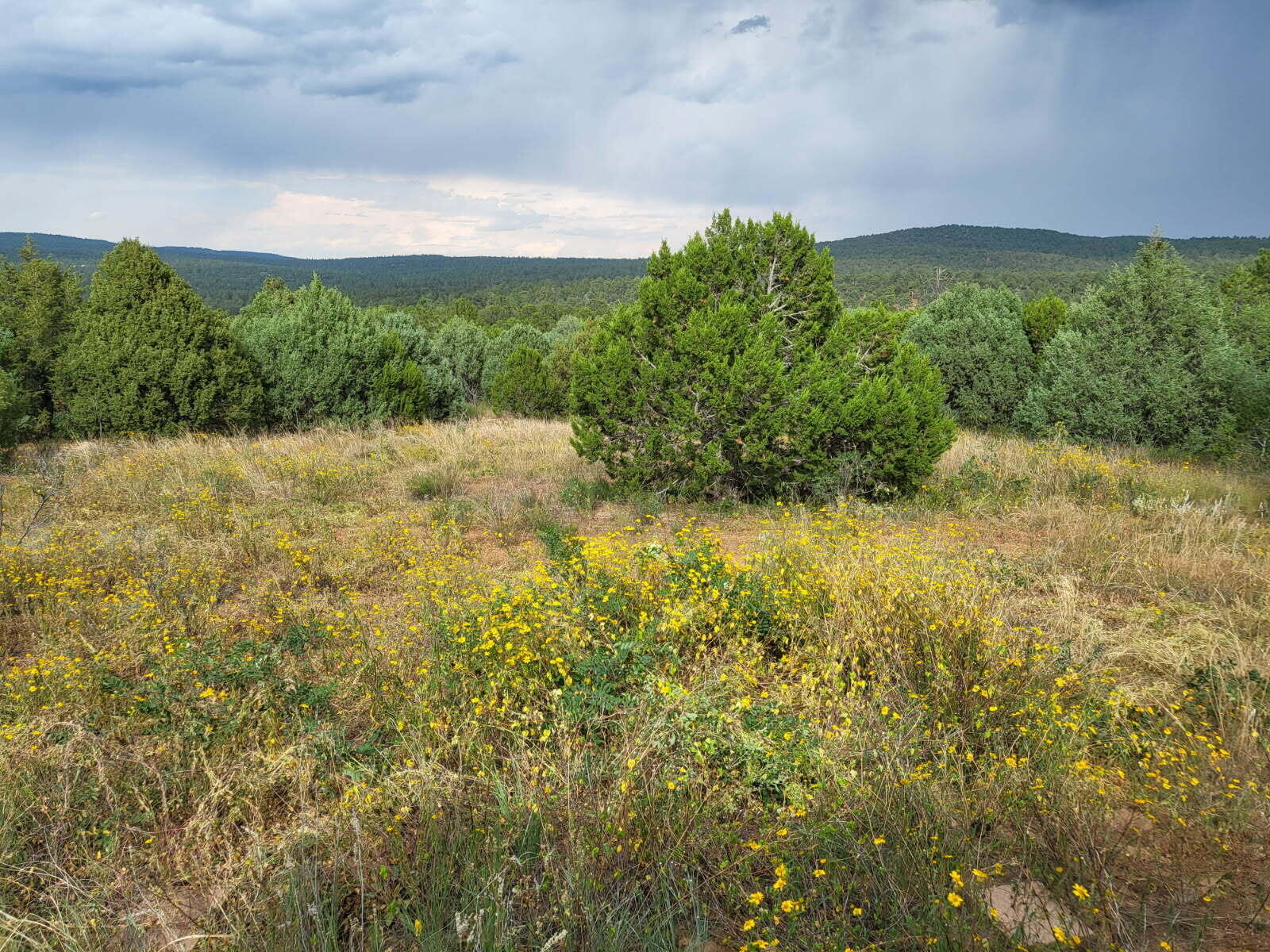 88 & 90 Entrada De Cibola